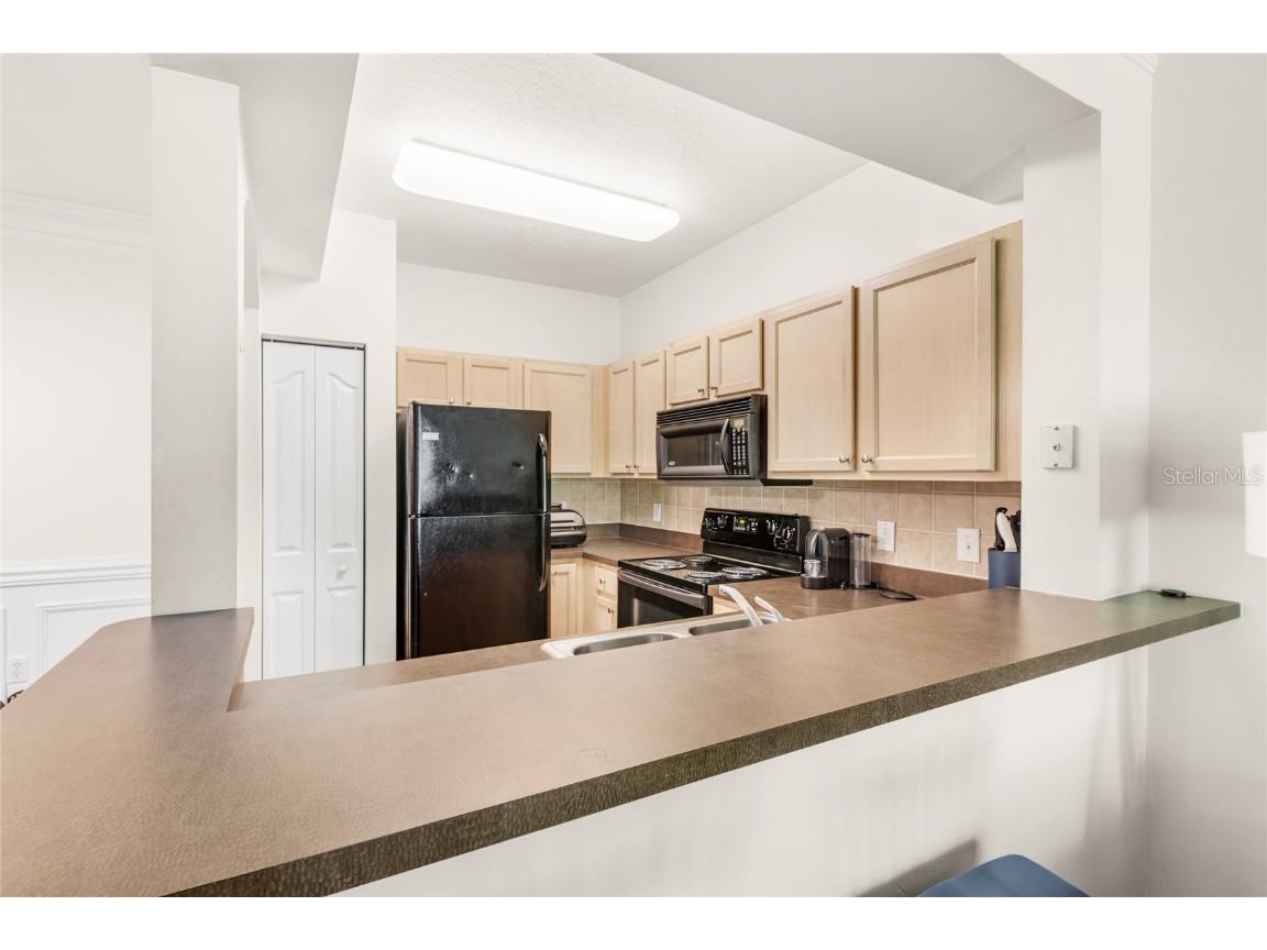 12837 Madison Pointe Circle #206 Orlando FL 32821 O6311367 image8