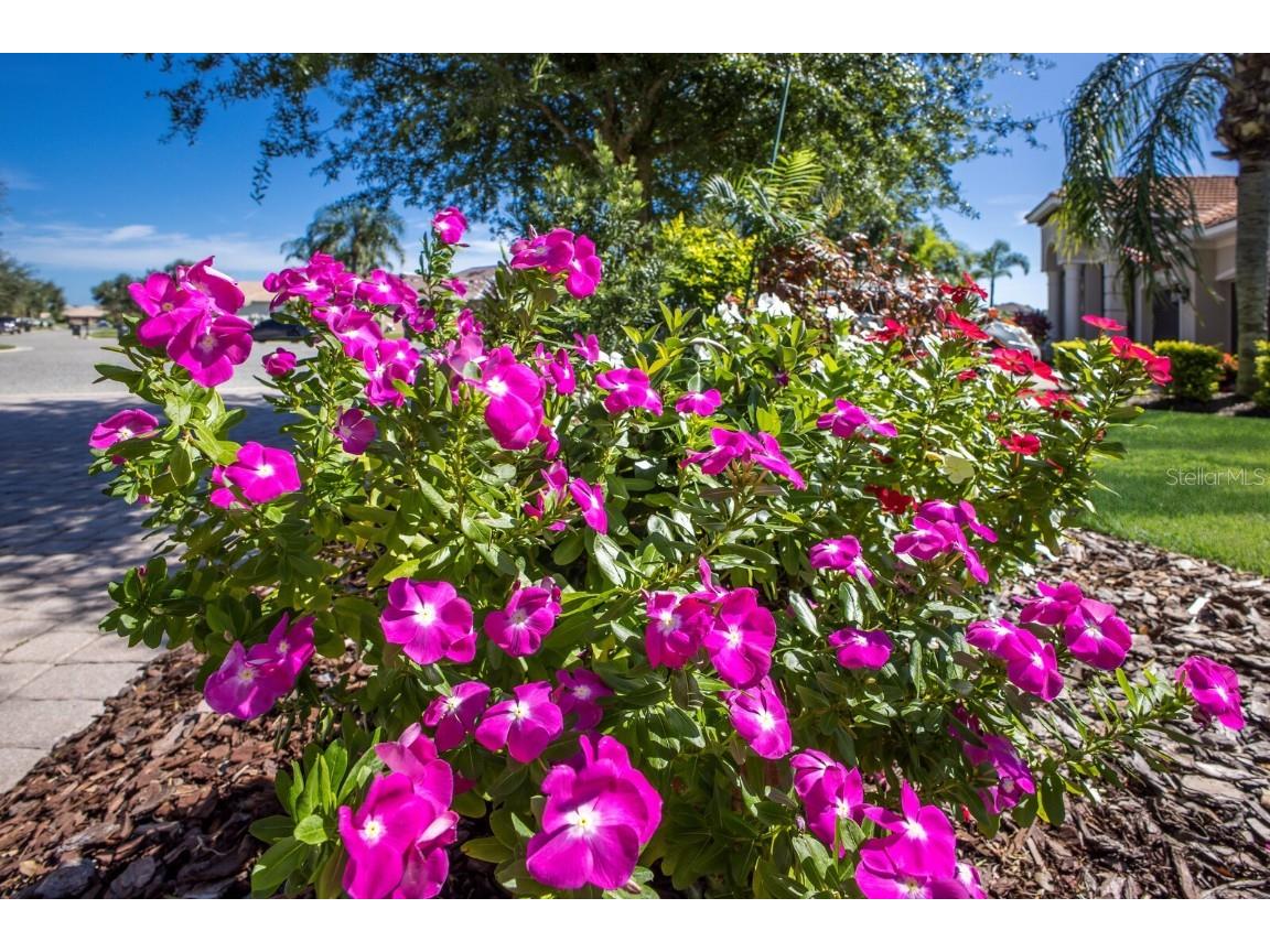 12838 Daisy Place Bradenton FL 34212 A4668524 image48