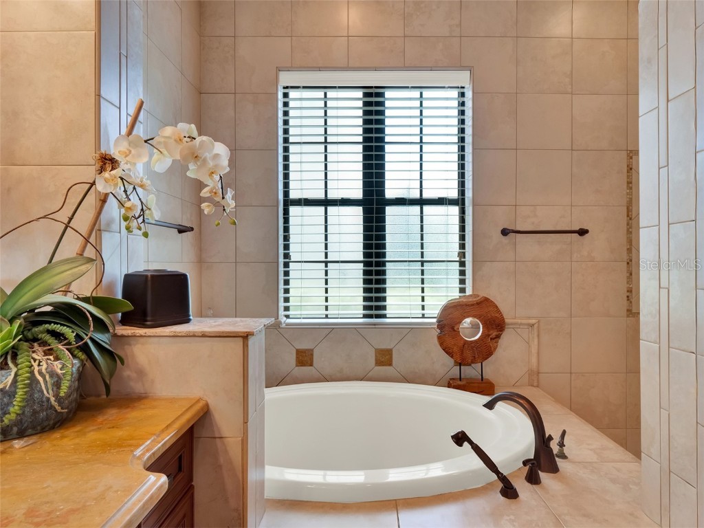 1284 Grand Traverse Parkway Reunion FL 34747 O6336082 image43