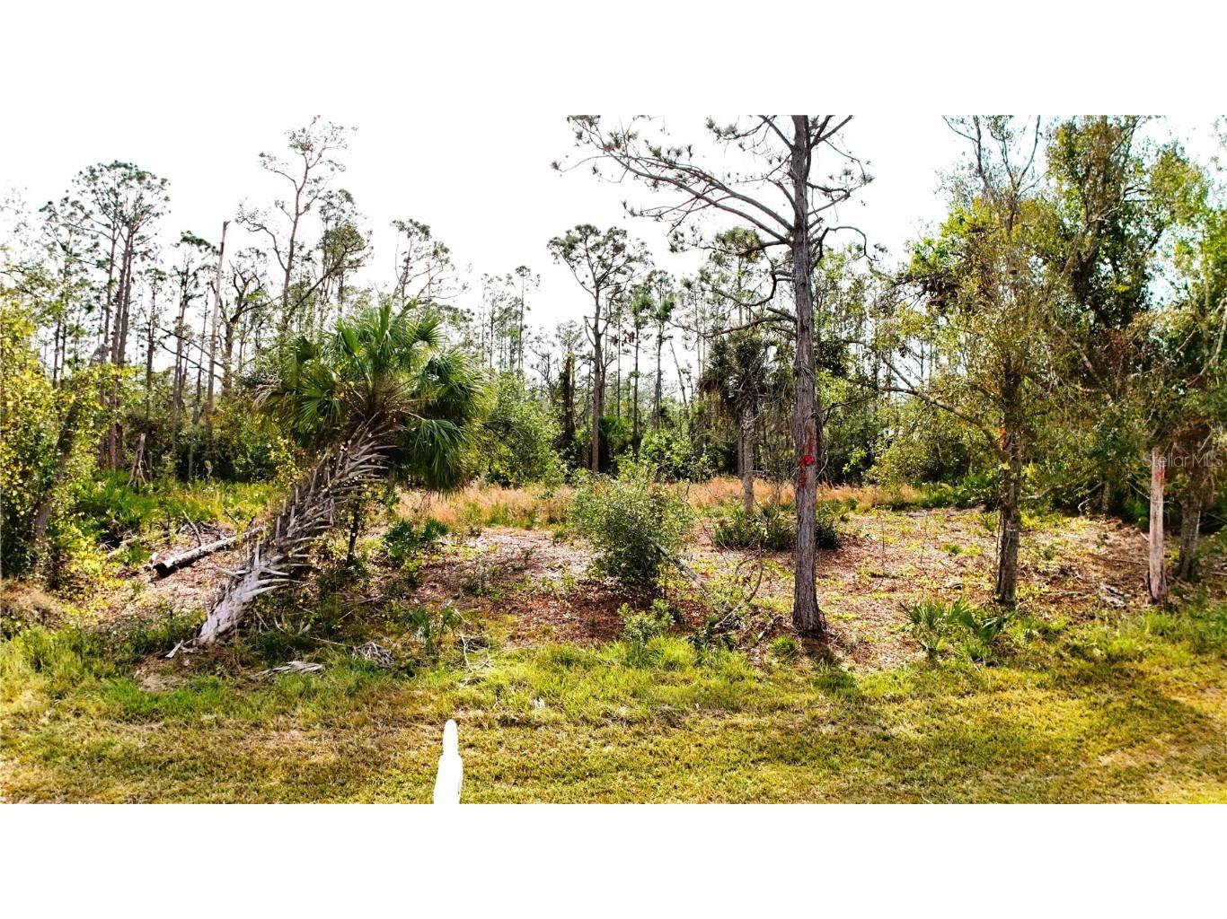 1284 Rambler Terrace Port Charlotte FL 33953 C7503811 image1