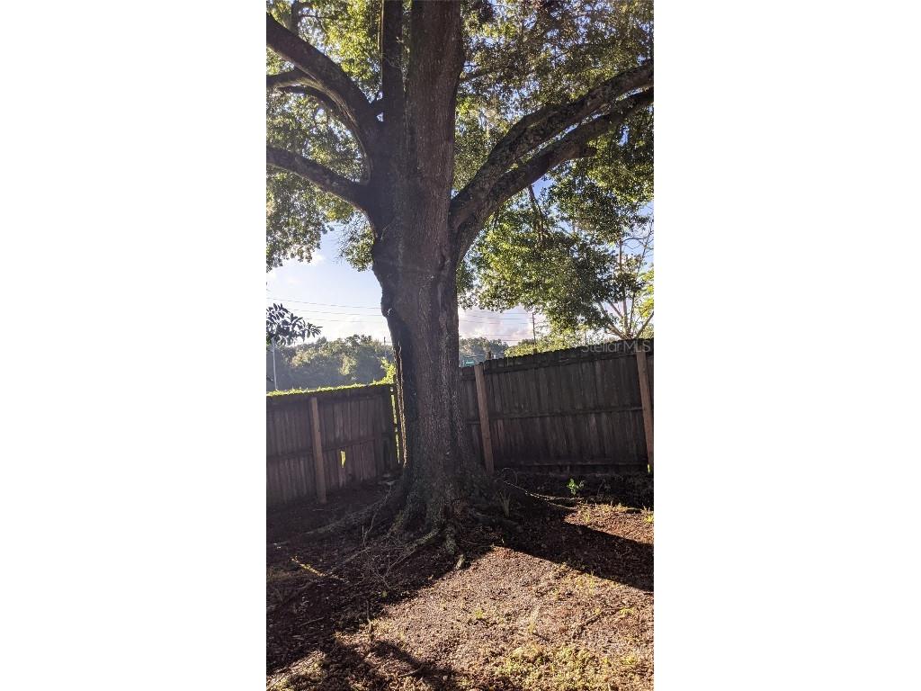 1284 Roma Court Orlando FL 32825 S5139590 image23