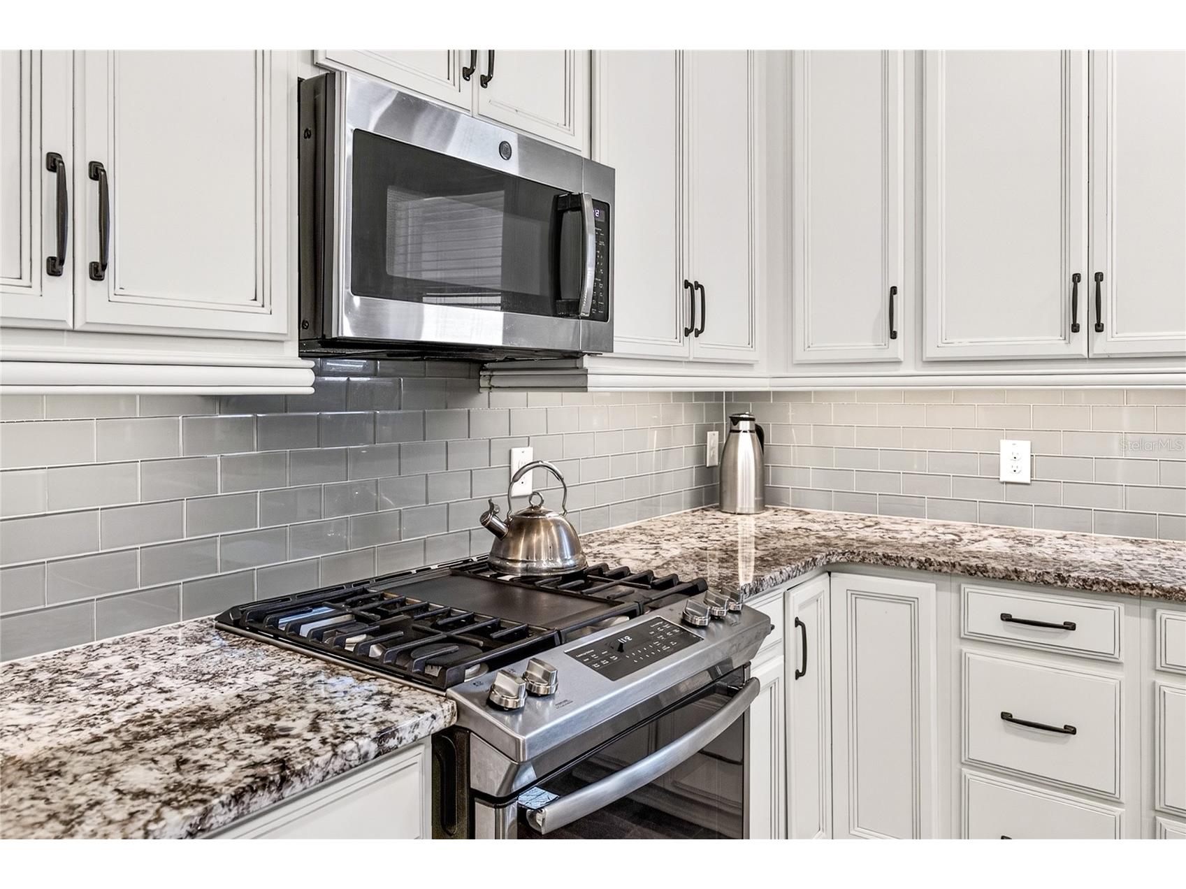 1284 Zeek Ridge Street Clermont FL 34715 G5106537 image13