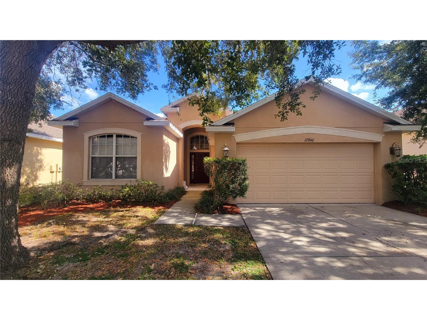 12840 Hampton Hill Drive Riverview FL 33578 T3496448 image1