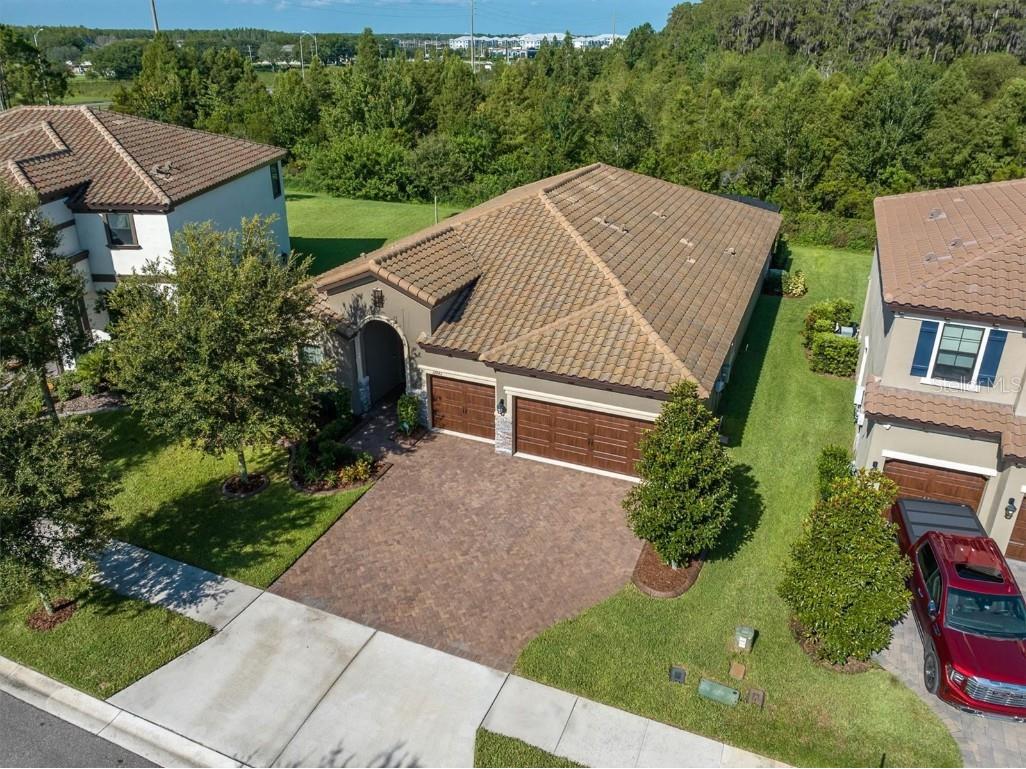 12842 Burns Drive Odessa FL 33556 W7856946 image1