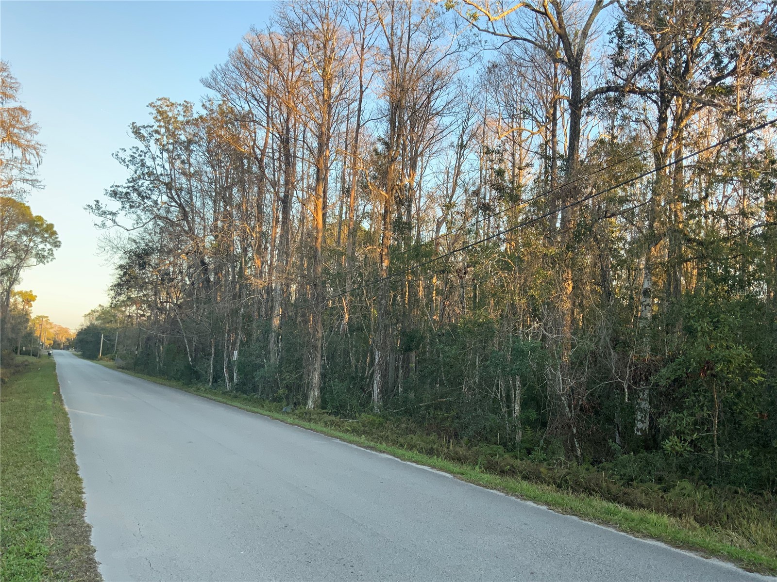 12842 Midvale Avenue New Port Richey FL 34654 TB8347777 image1