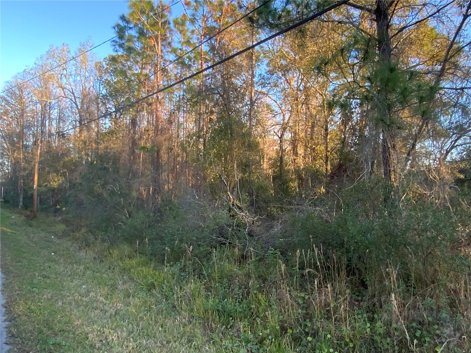 12842 Midvale Avenue New Port Richey FL 34654 TB8347777 image2