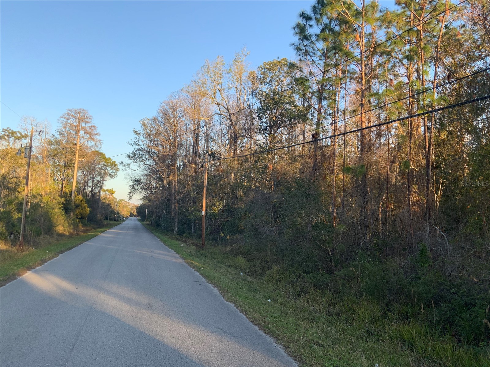 12842 Midvale Avenue New Port Richey FL 34654 TB8347777 image3