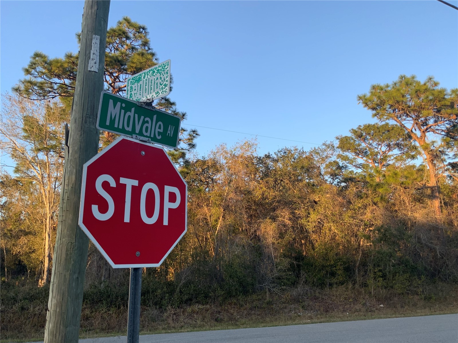 12842 Midvale Avenue New Port Richey FL 34654 TB8347777 image4