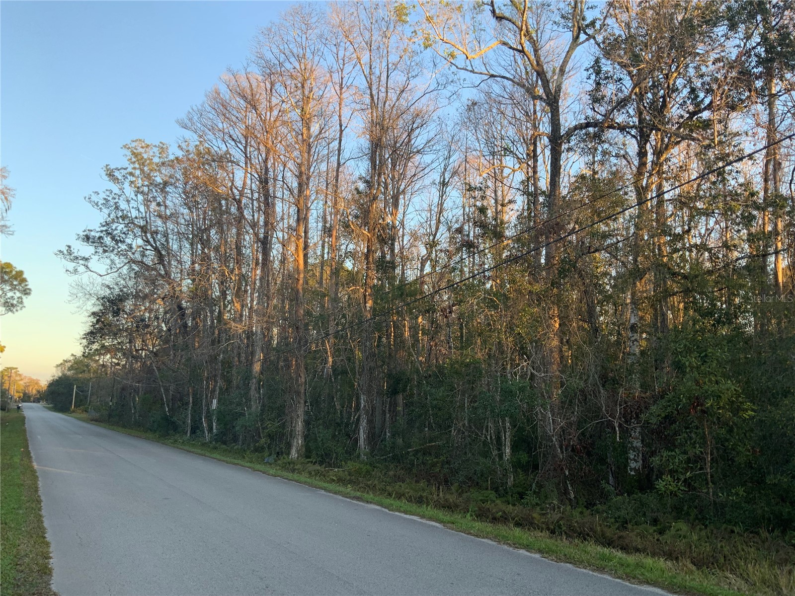 12842 Midvale Avenue New Port Richey FL 34654 TB8347777 image5