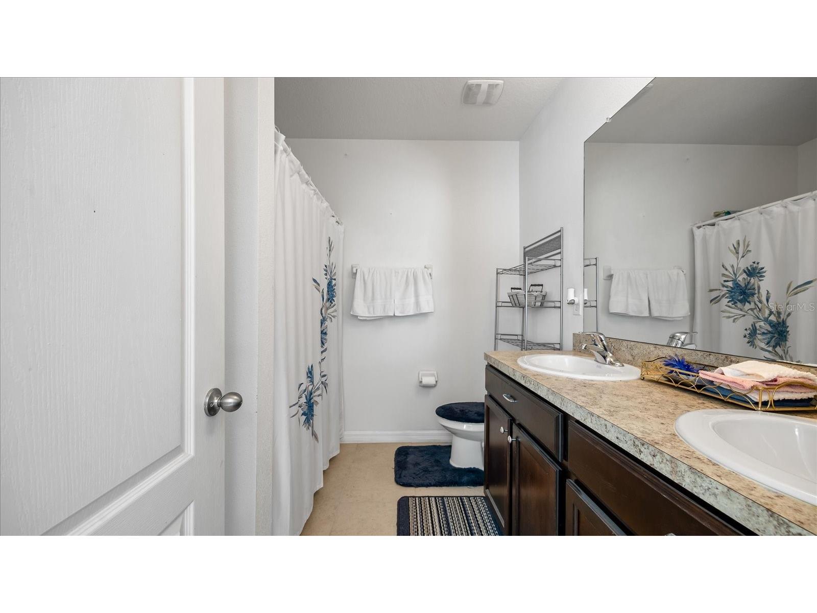 12843 Buffalo Run Drive Gibsonton FL 33534 O6382660 image18