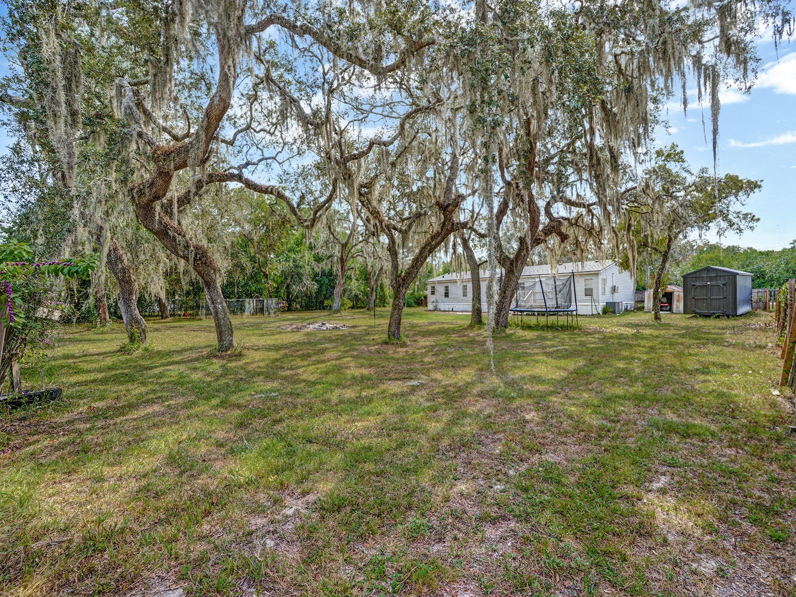 12845 Casa Bianca Avenue New Port Richey FL 34654 TB8442196 image33