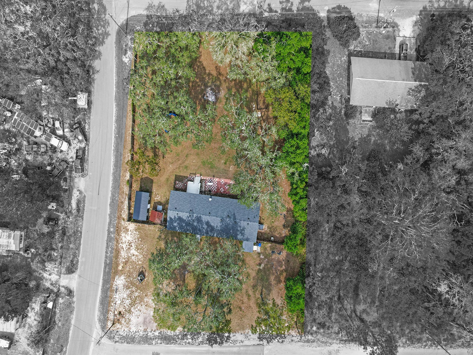 12845 Casa Bianca Avenue New Port Richey FL 34654 TB8442196 image39