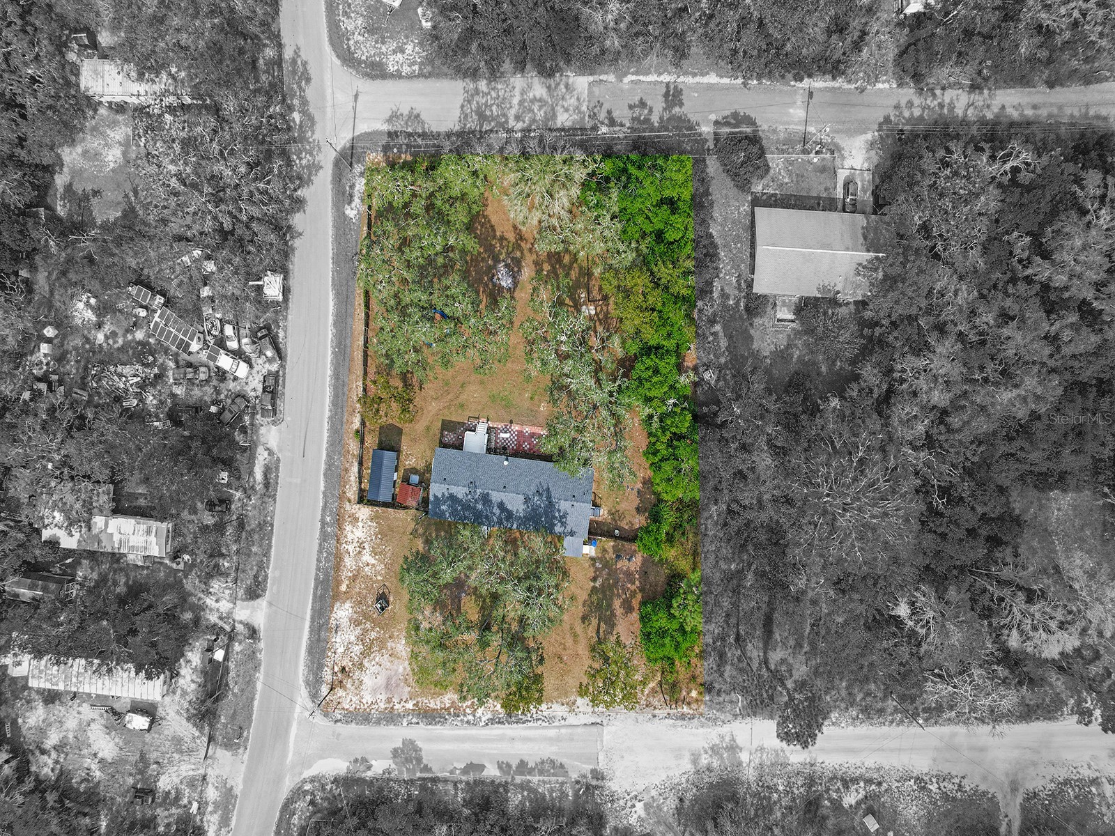 12845 Casa Bianca Avenue New Port Richey FL 34654 TB8442196 image9