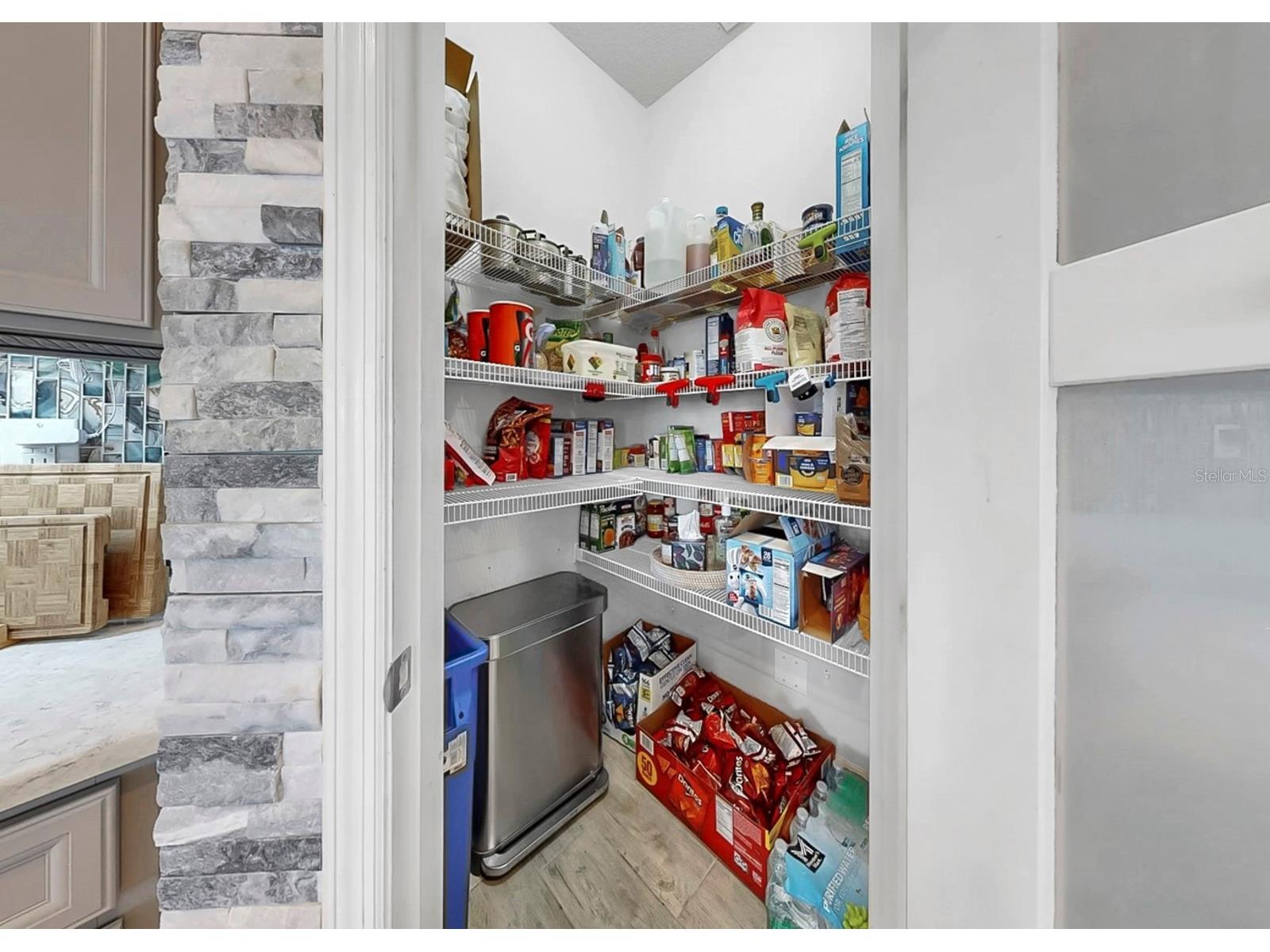 12845 Satin Lily Drive Riverview FL 33579 TB8496151 image27