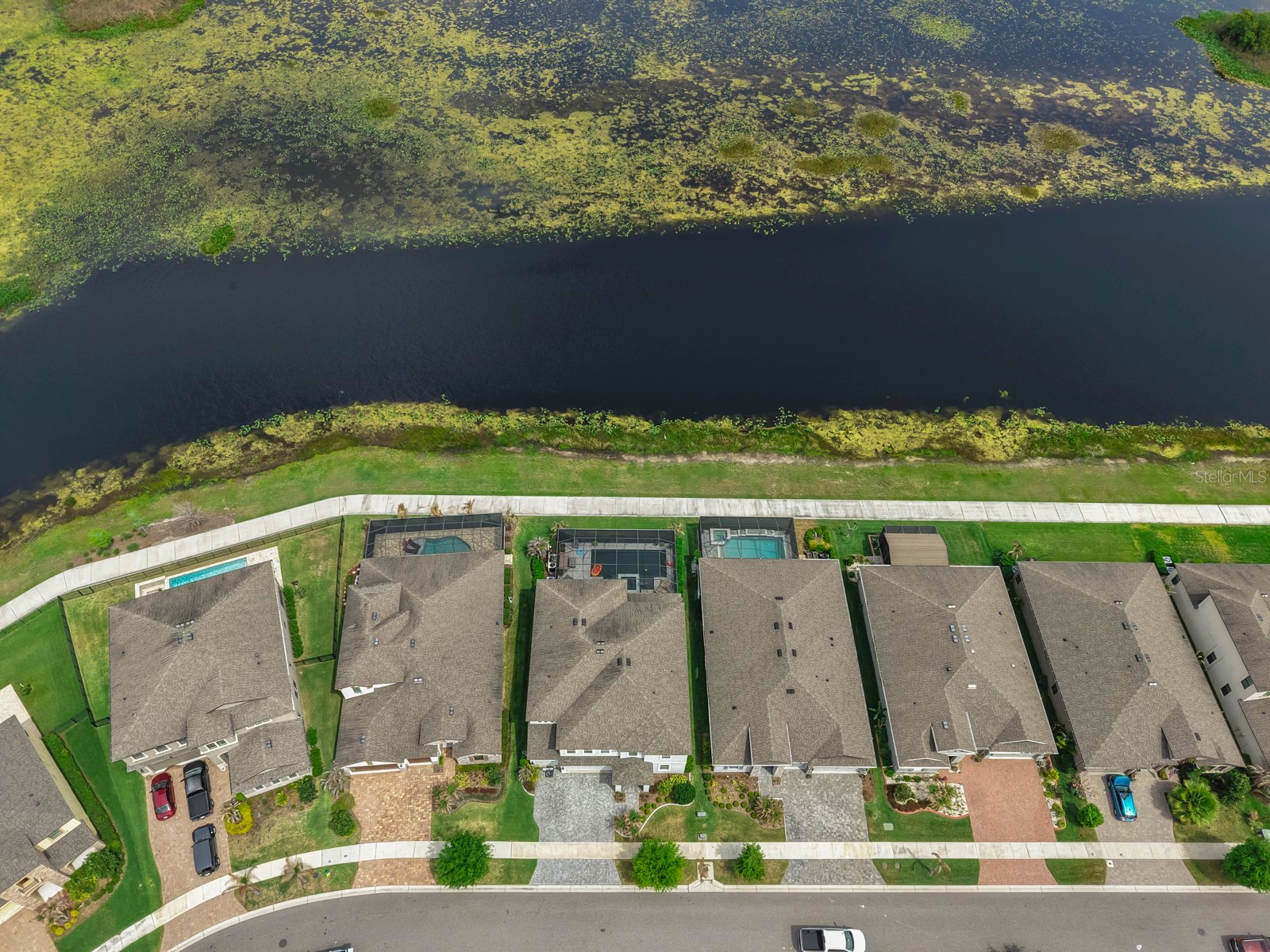 12845 Satin Lily Drive Riverview FL 33579 TB8496151 image60