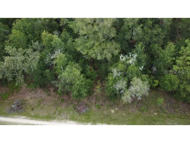 12845 SW 95th Place Dunnellon FL 34432 T3454978 image1