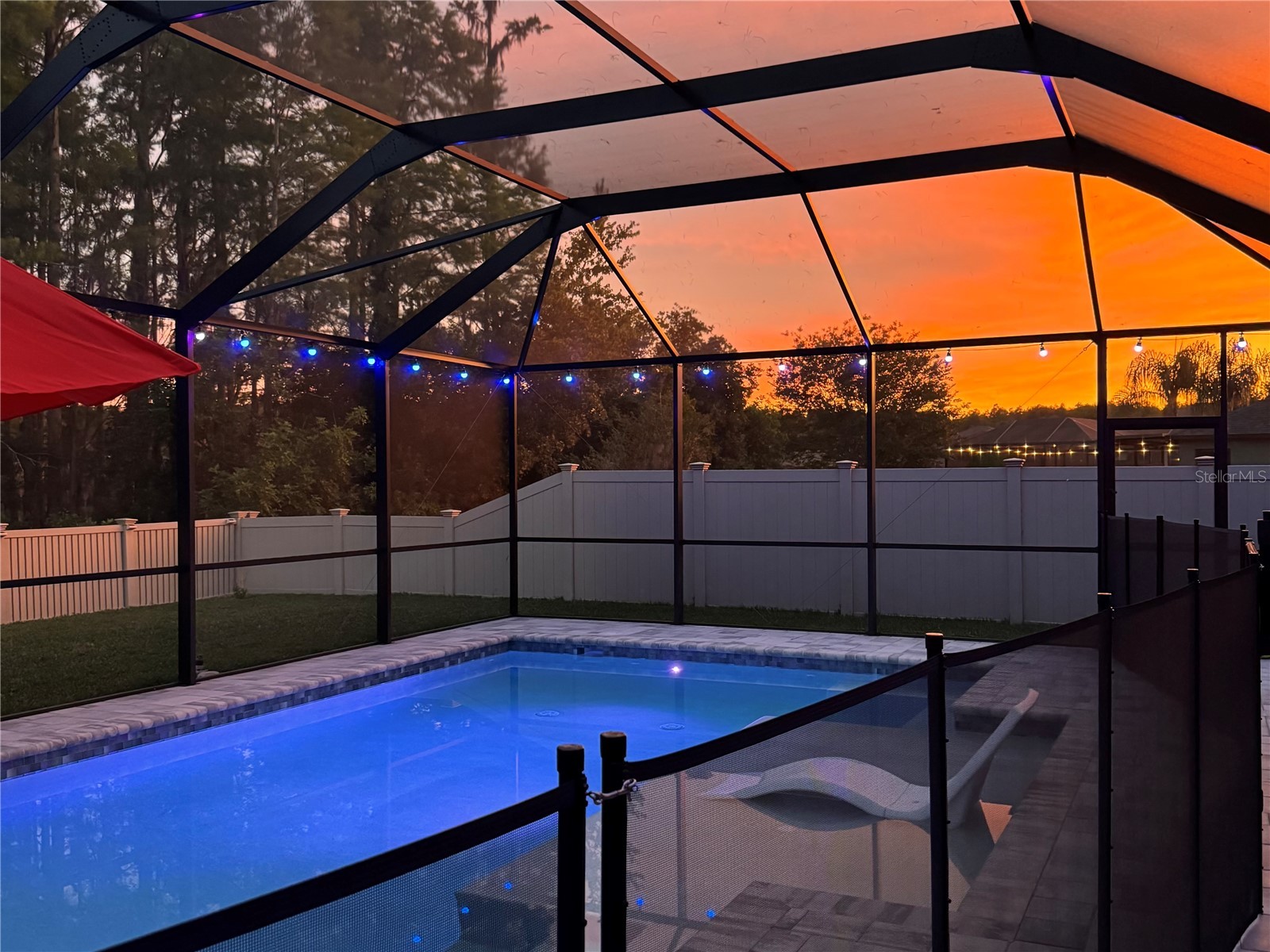 12846 Tikal Way Trinity FL 34655 TB8504314 image3