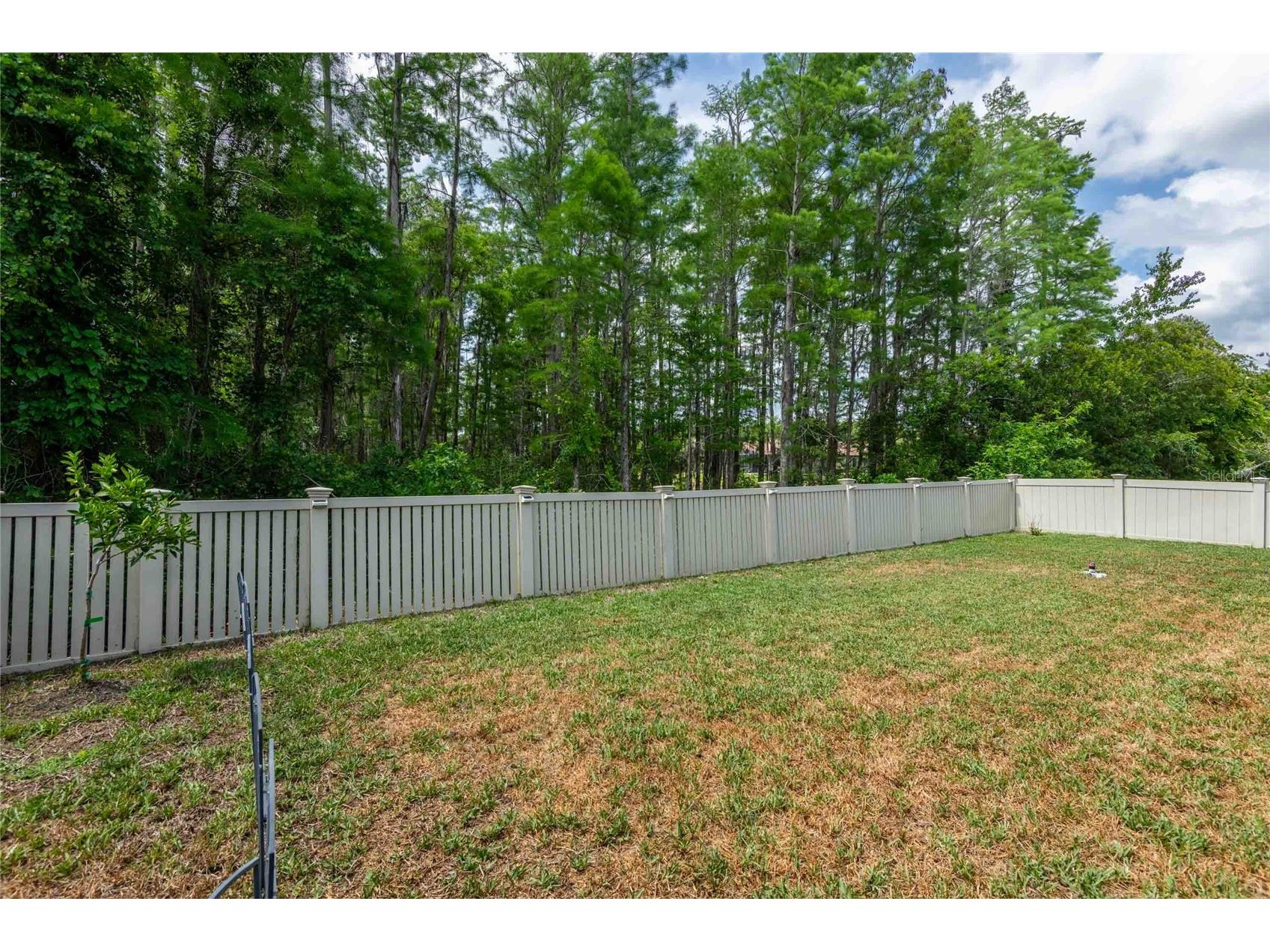 12846 Tikal Way Trinity FL 34655 TB8504314 image49