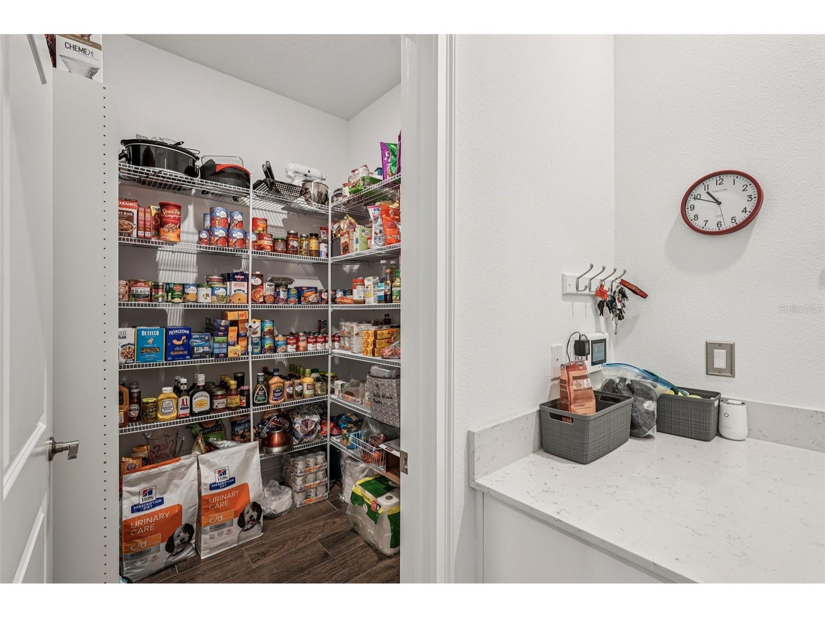 12847 Bergstrom Bay Drive Riverview FL 33579 A4686868 image15