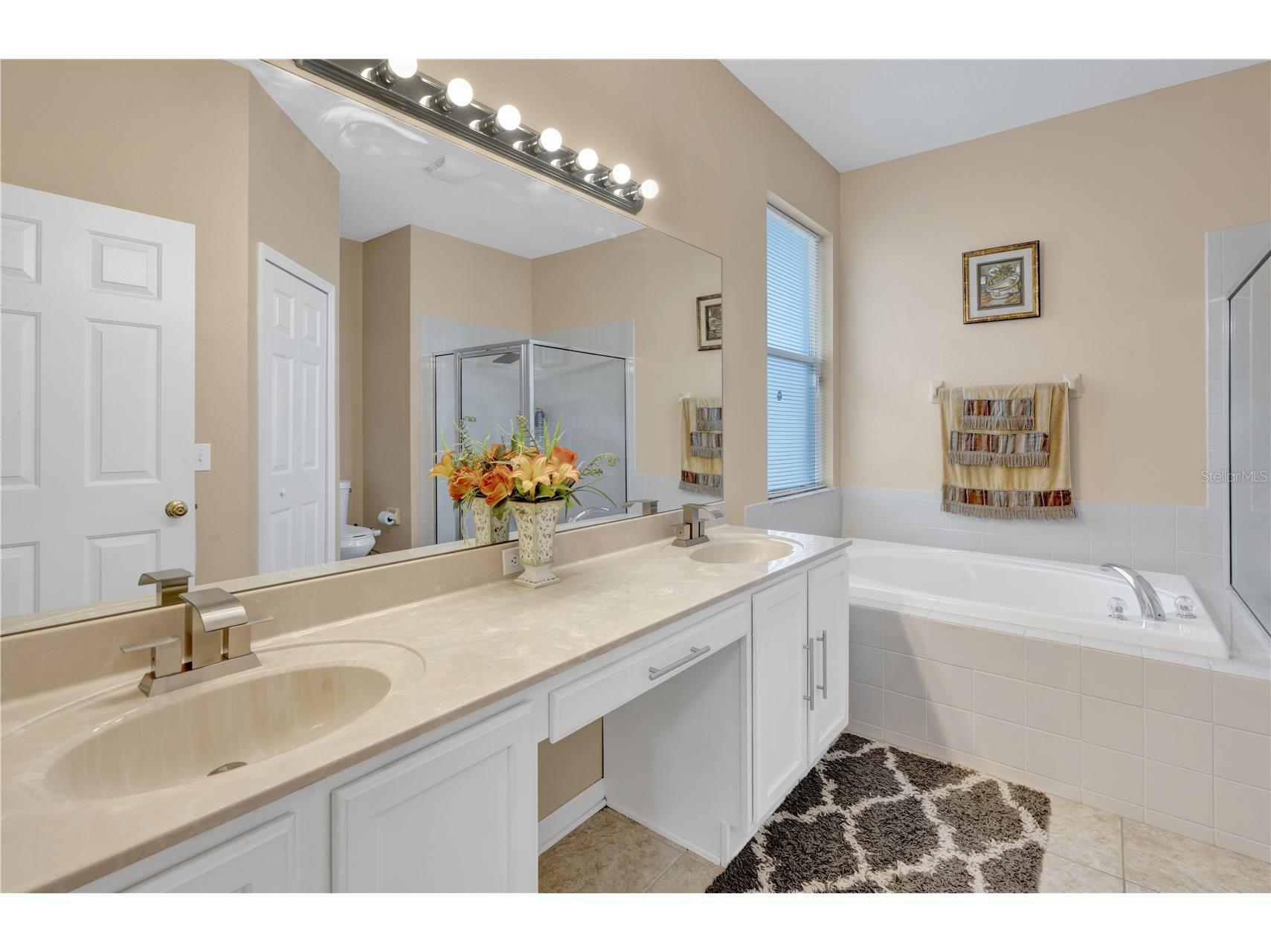 12847 Solola Way Trinity FL 34655 W7883549 image31