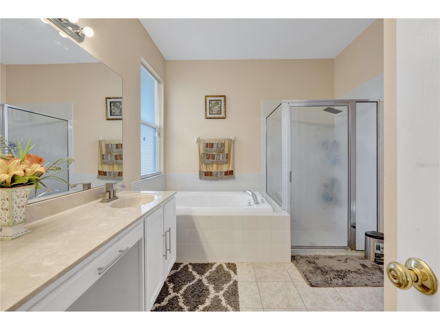 12847 Solola Way Trinity FL 34655 W7883549 image34