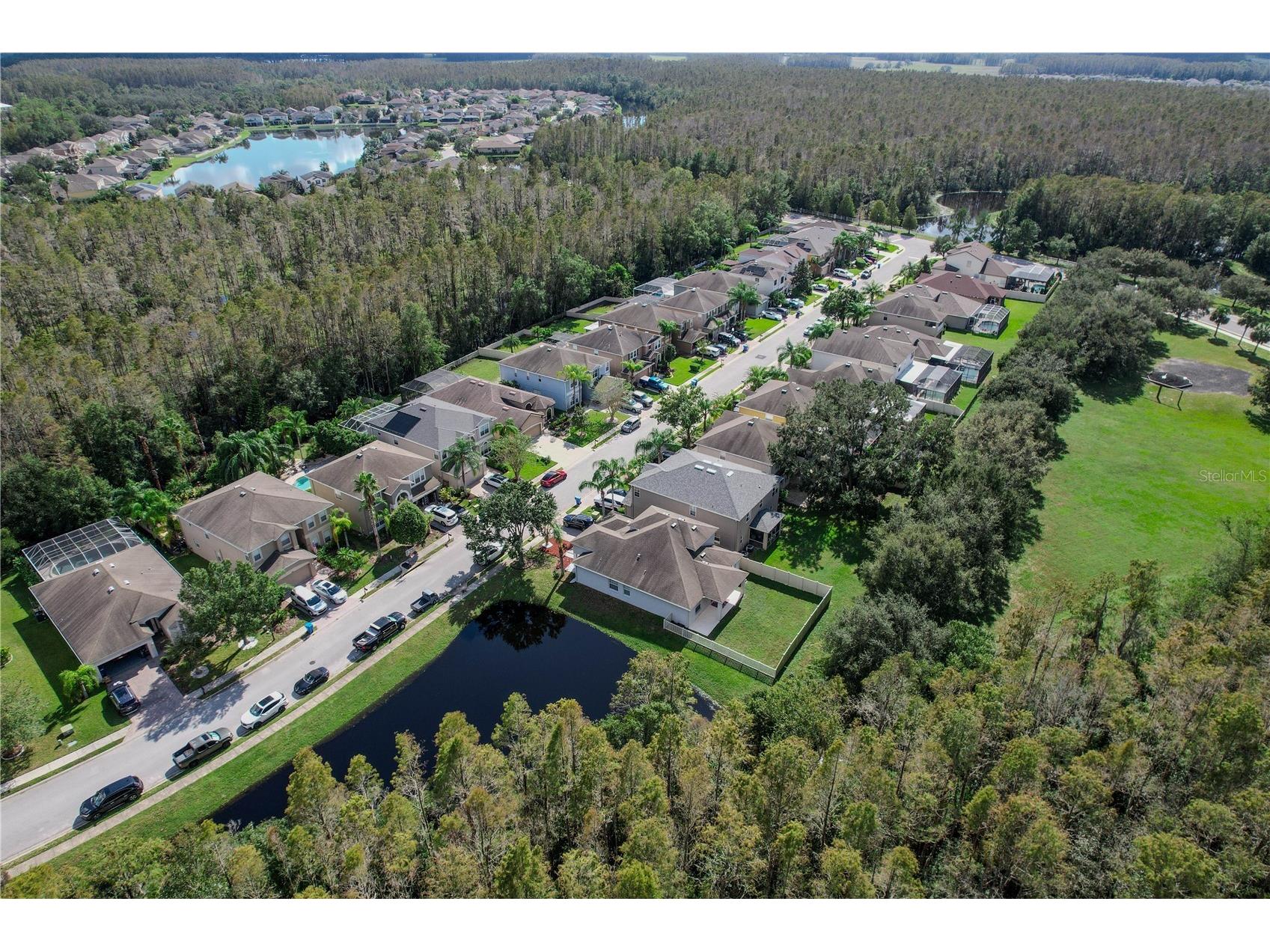 12847 Solola Way Trinity FL 34655 W7883549 image62