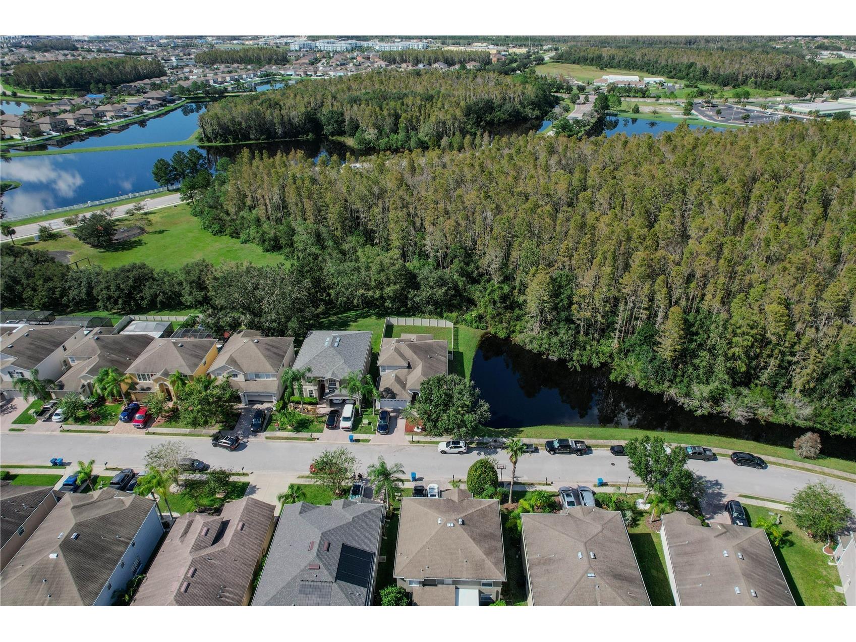 12847 Solola Way Trinity FL 34655 W7883549 image66