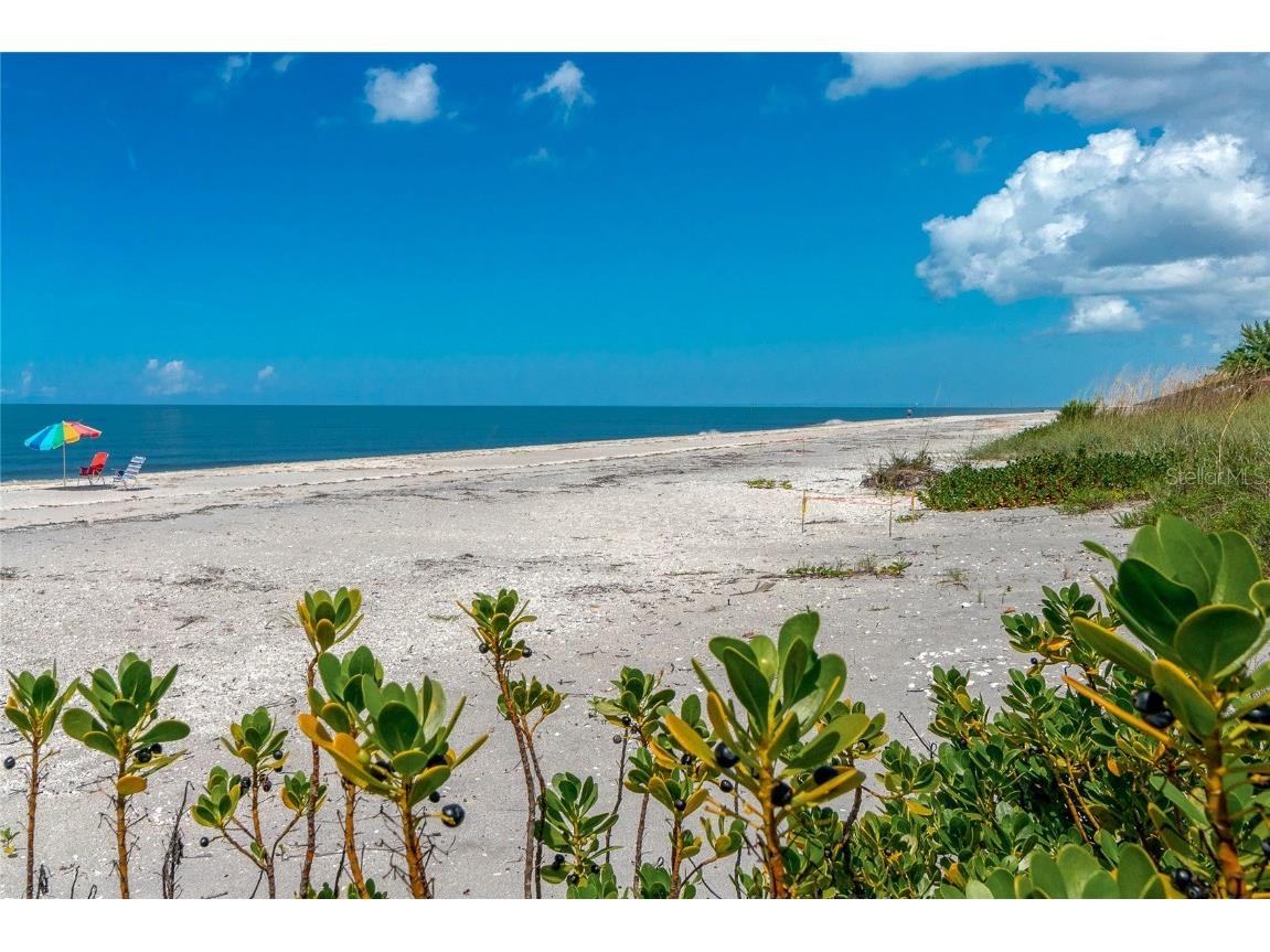 1285 Gulf Boulevard #4 Englewood FL 34223 D6143163 image22