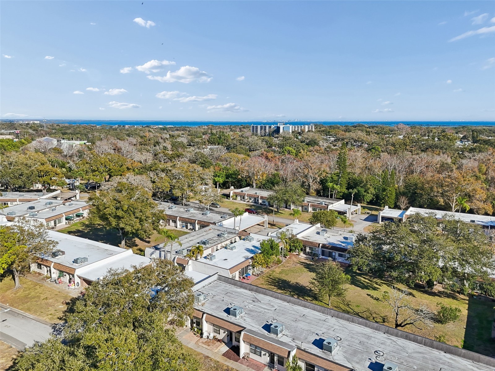 1285 Mission Hills Boulevard #36B Clearwater FL 33759 TB8474630 image47