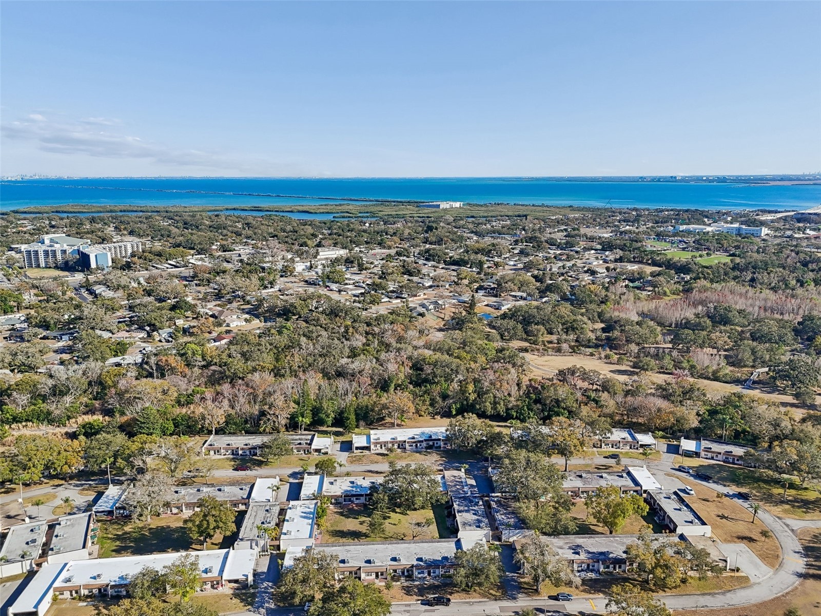 1285 Mission Hills Boulevard #36B Clearwater FL 33759 TB8474630 image48