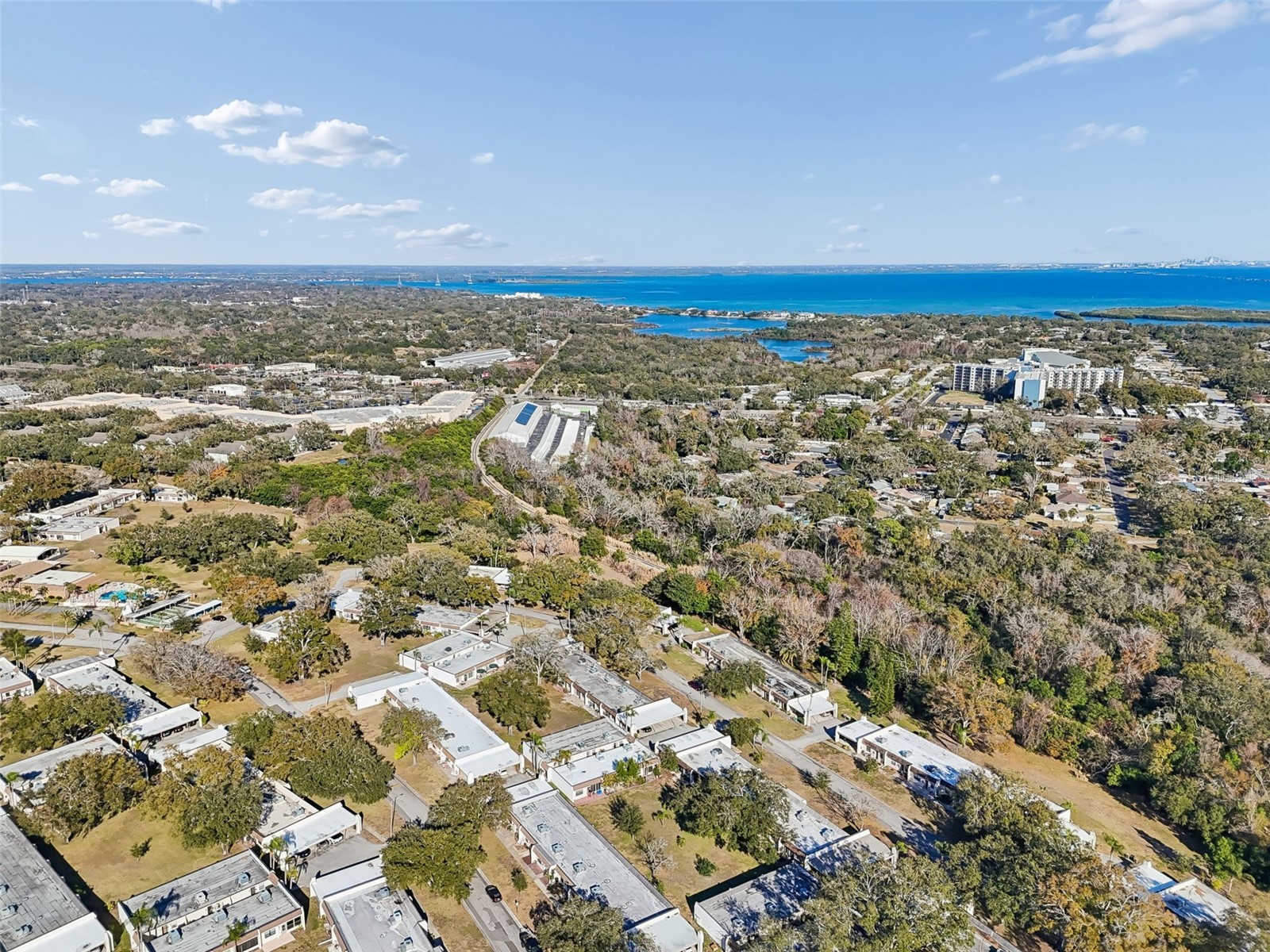 1285 Mission Hills Boulevard #36B Clearwater FL 33759 TB8474630 image49