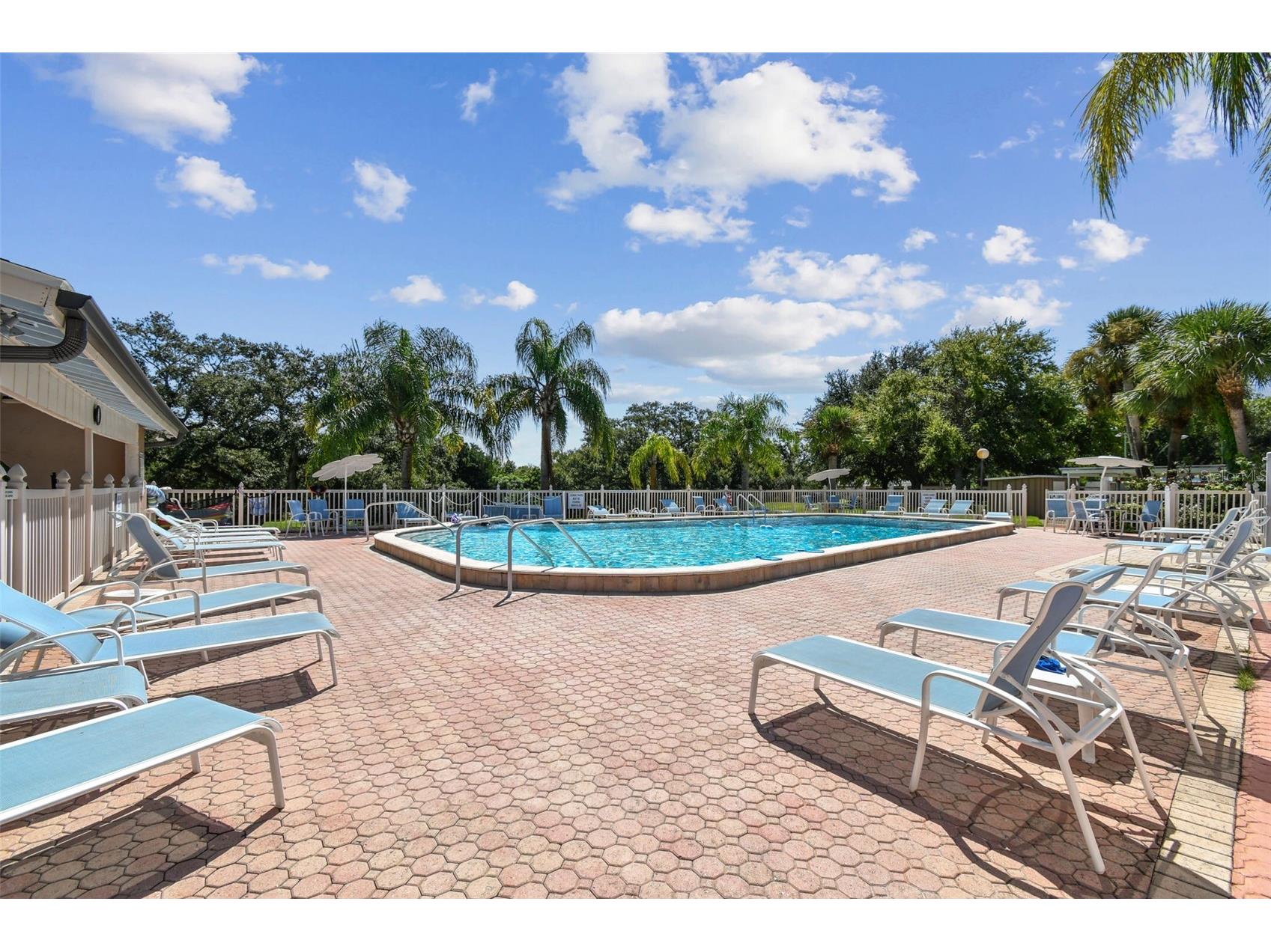 1285 Mission Hills Boulevard #36B Clearwater FL 33759 TB8474630 image66