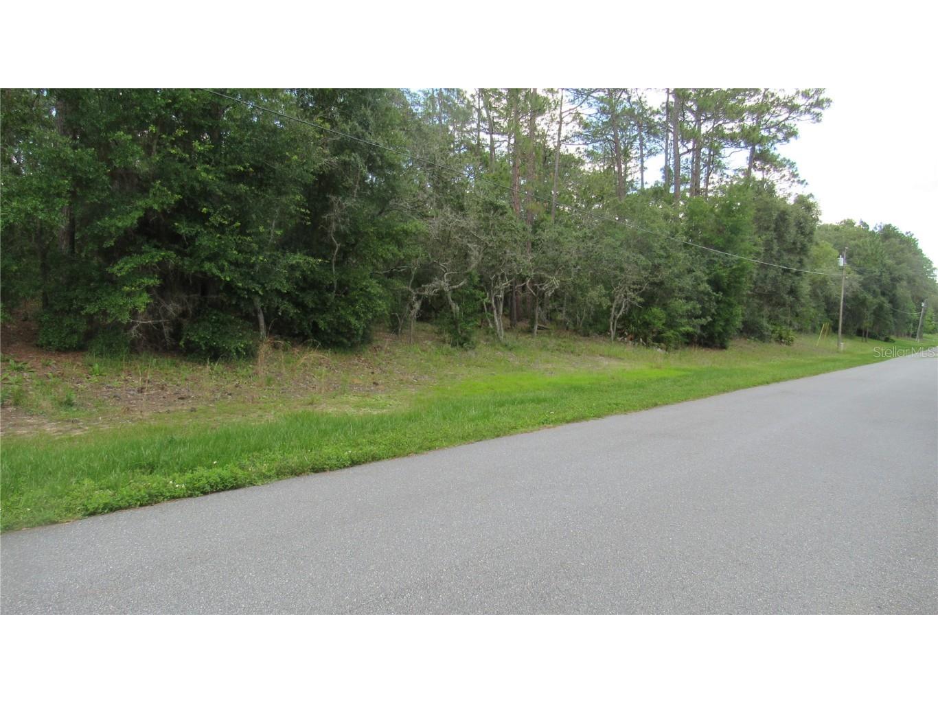 1285 W Sphere Place Beverly Hills FL 34465 OM640122 image1