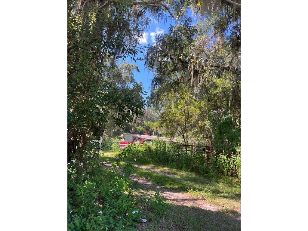 12850 NE 21st Terrace Anthony FL 32617 OM664996 image1