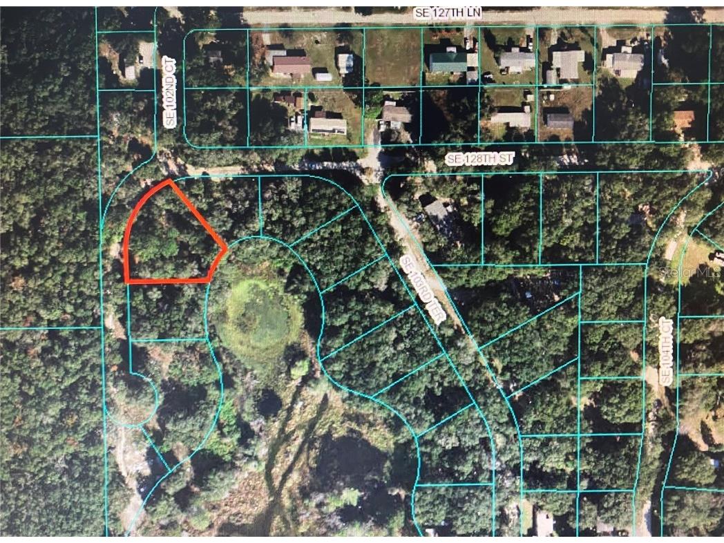 12851 SE 102nd Court Belleview FL 34420 OM693476 image1