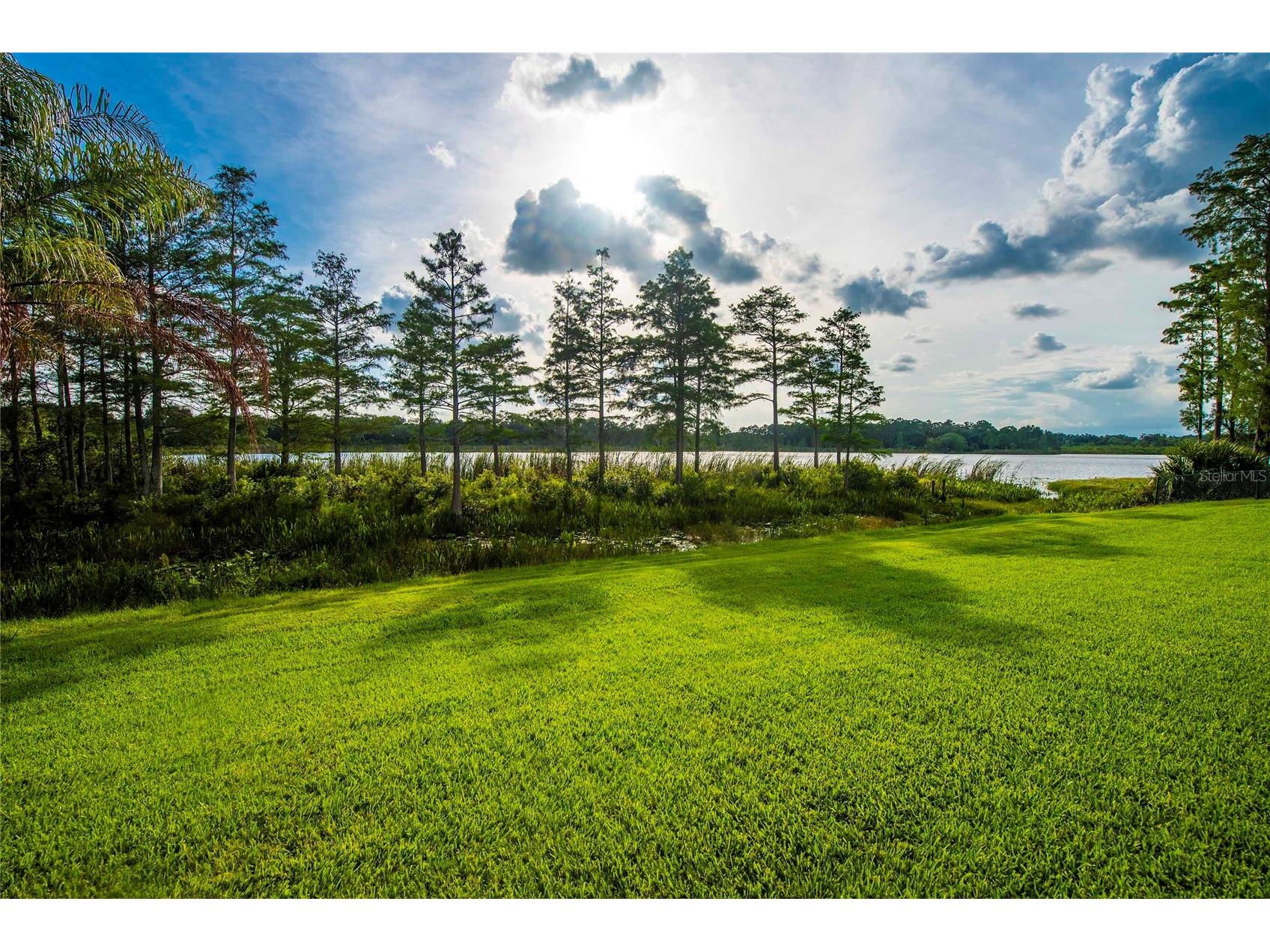 12853 Bellerive Drive Clermont FL 34711 - LAKE OLSEN G5114371 image12