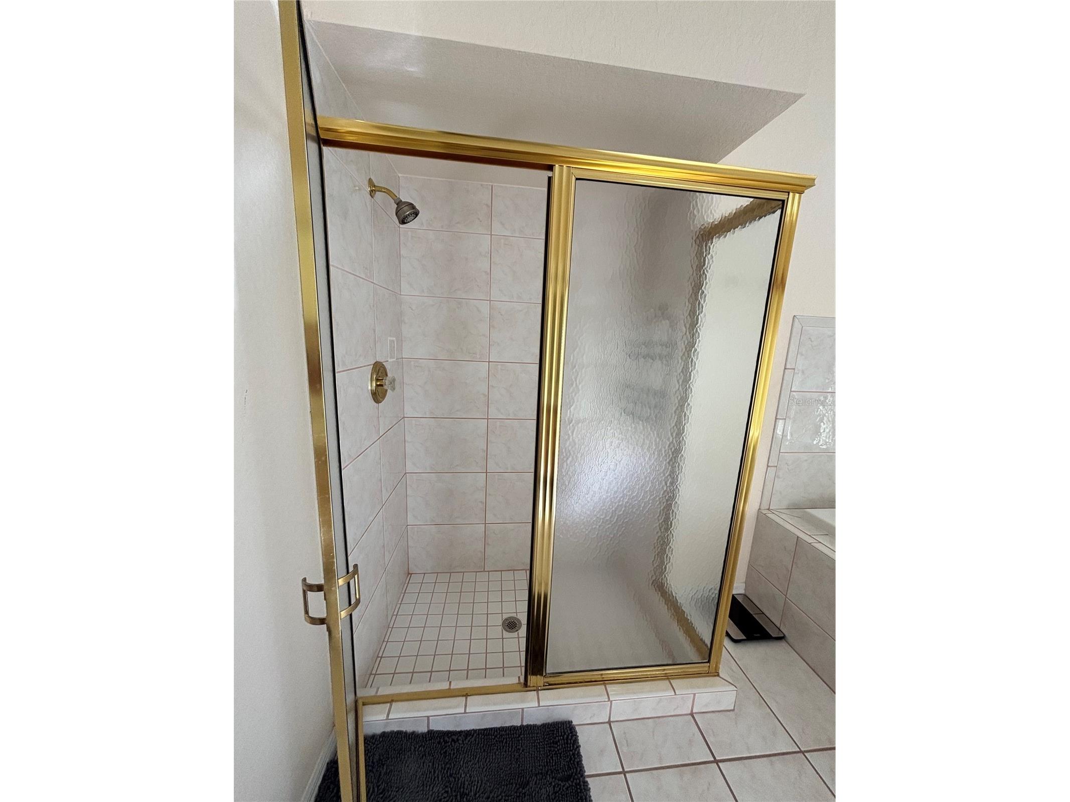 12853 Bellerive Drive Clermont FL 34711 - LAKE OLSEN G5114371 image36
