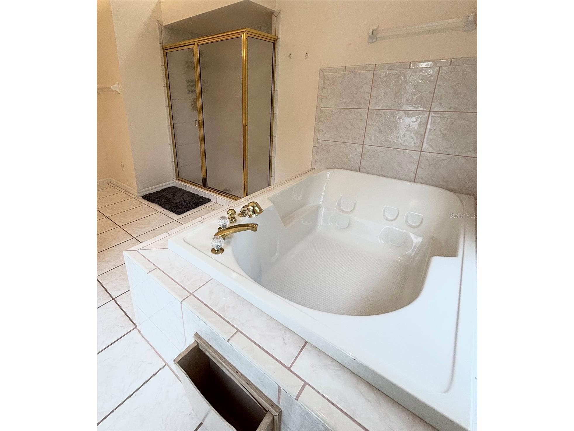 12853 Bellerive Drive Clermont FL 34711 - LAKE OLSEN G5114371 image37