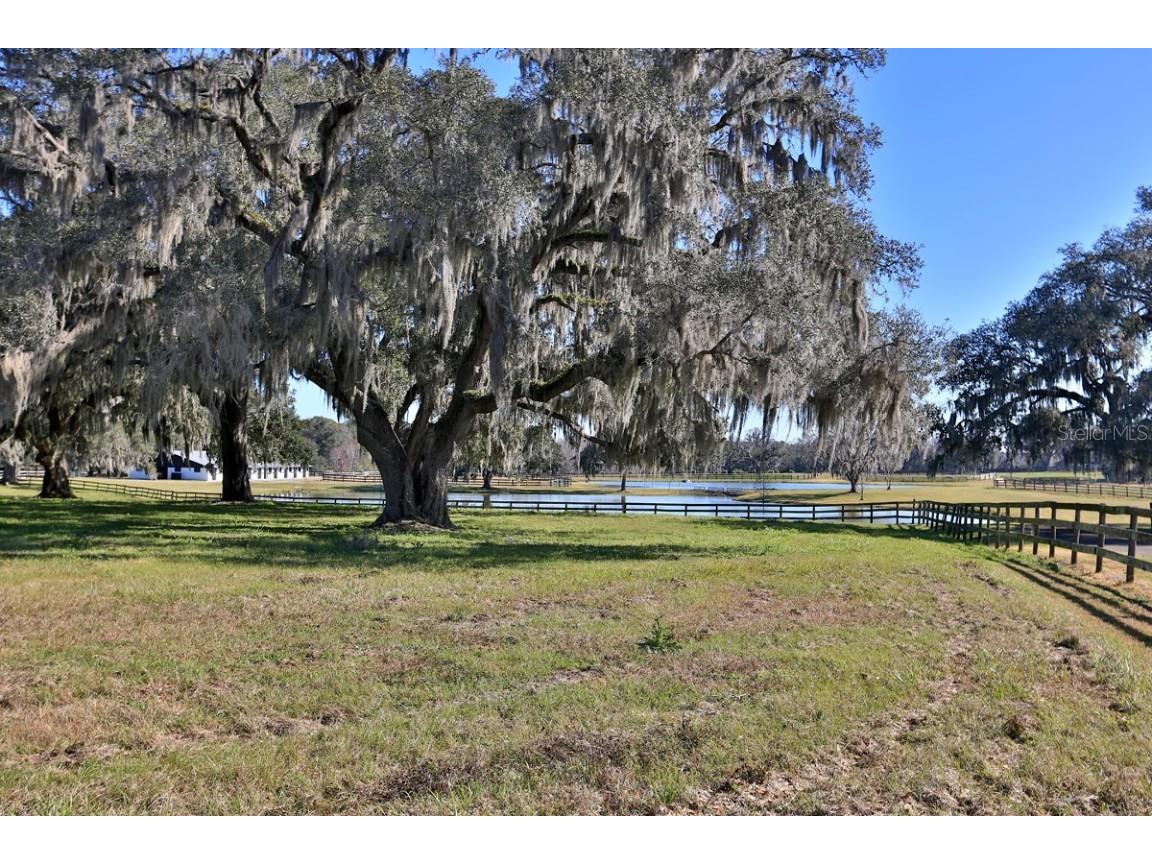 12853 NW 90th Avenue Reddick FL 32686 OM692861 image32