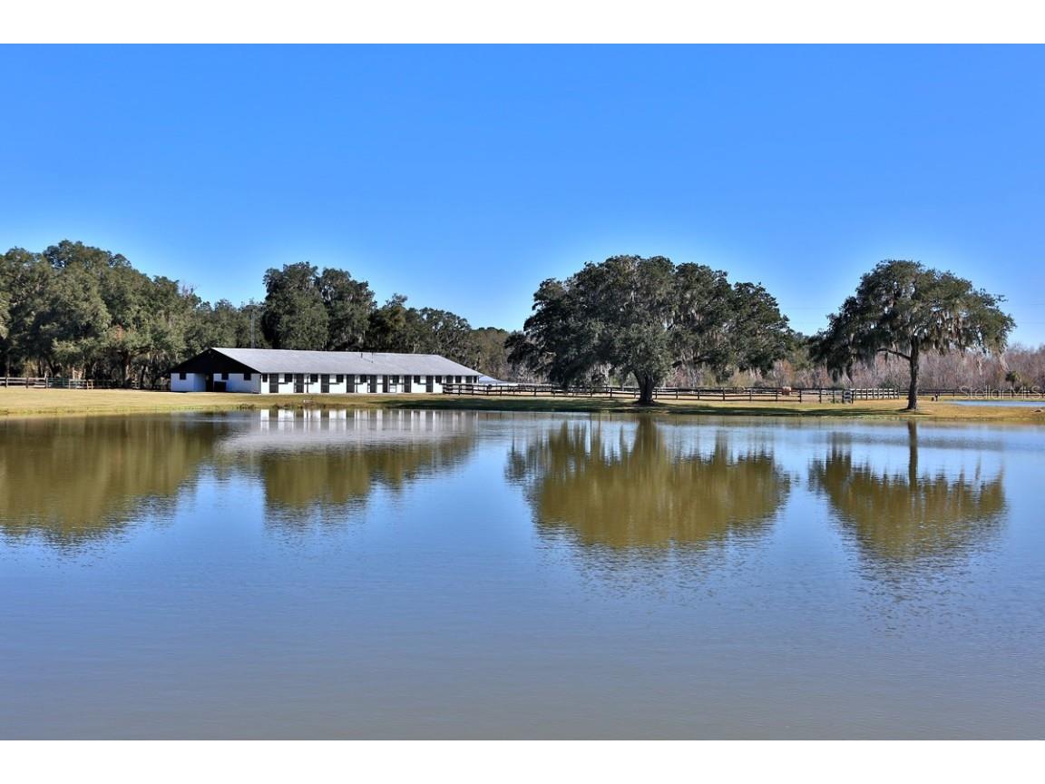 12853 NW 90th Avenue Reddick FL 32686 OM692861 image33