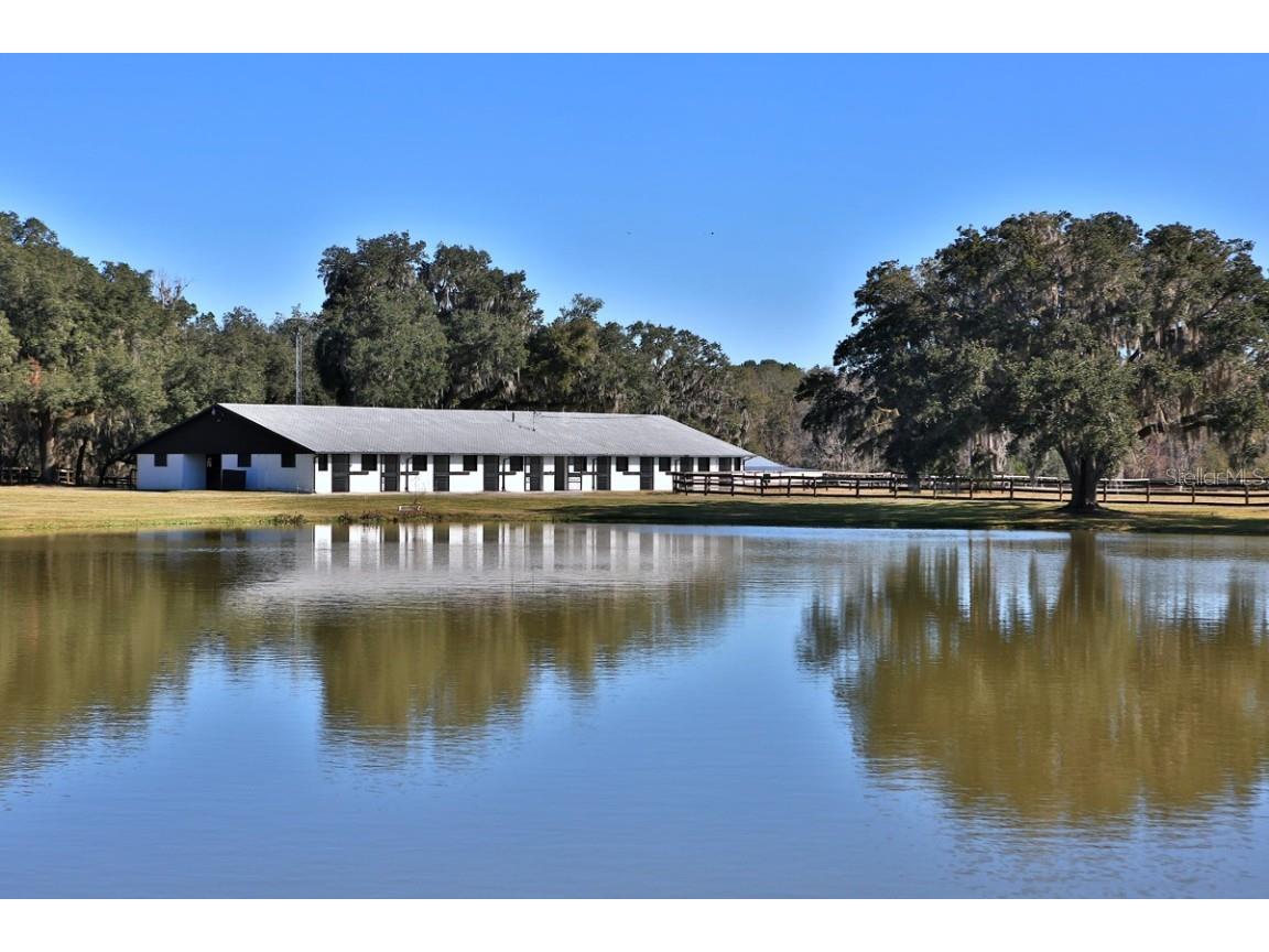 12853 NW 90th Avenue Reddick FL 32686 OM692861 image34