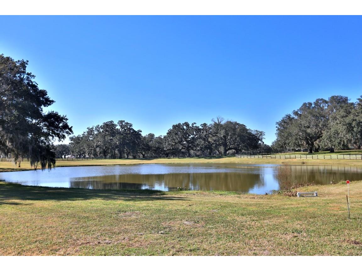 12853 NW 90th Avenue Reddick FL 32686 OM692861 image35