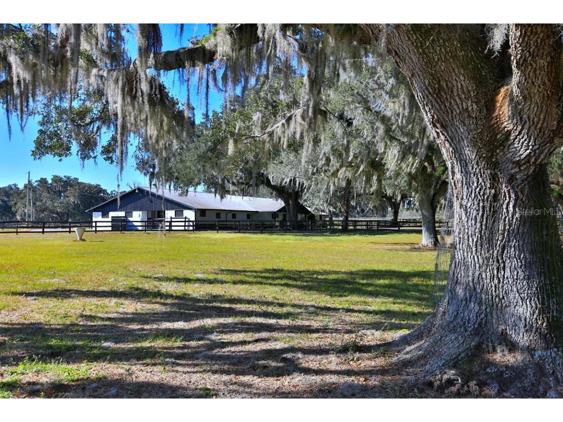 12853 NW 90th Avenue Reddick FL 32686 OM692861 image37