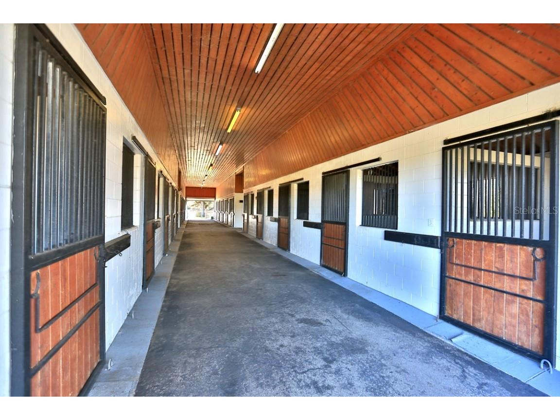 12853 NW 90th Avenue Reddick FL 32686 OM692861 image43