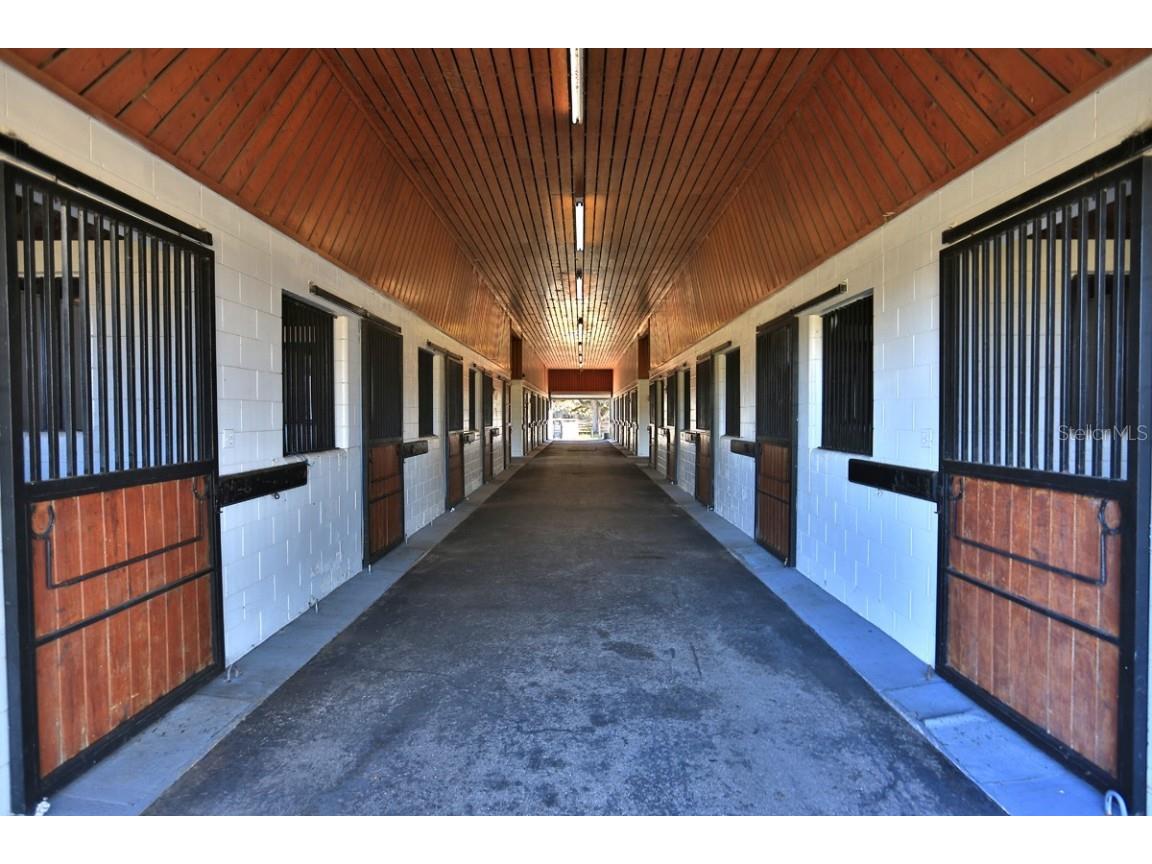 12853 NW 90th Avenue Reddick FL 32686 OM692861 image44