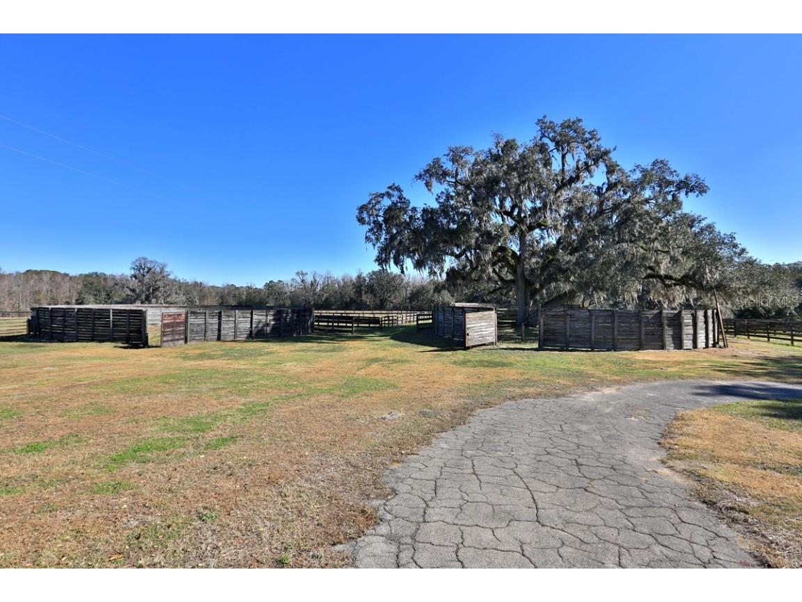 12853 NW 90th Avenue Reddick FL 32686 OM692861 image51