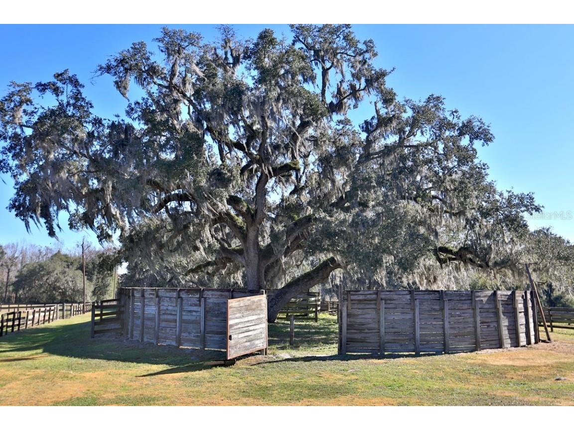 12853 NW 90th Avenue Reddick FL 32686 OM692861 image52