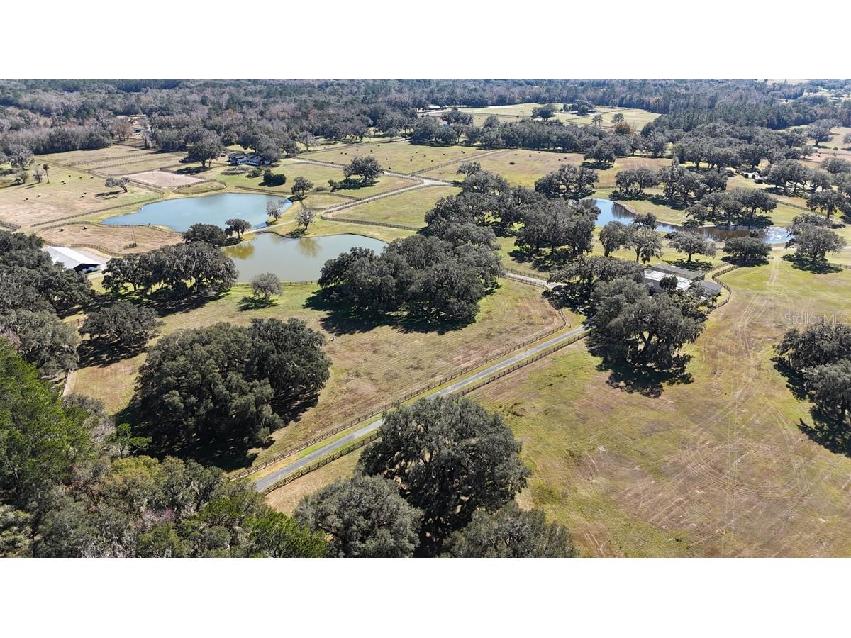 12853 NW 90th Avenue Reddick FL 32686 OM692861 image63