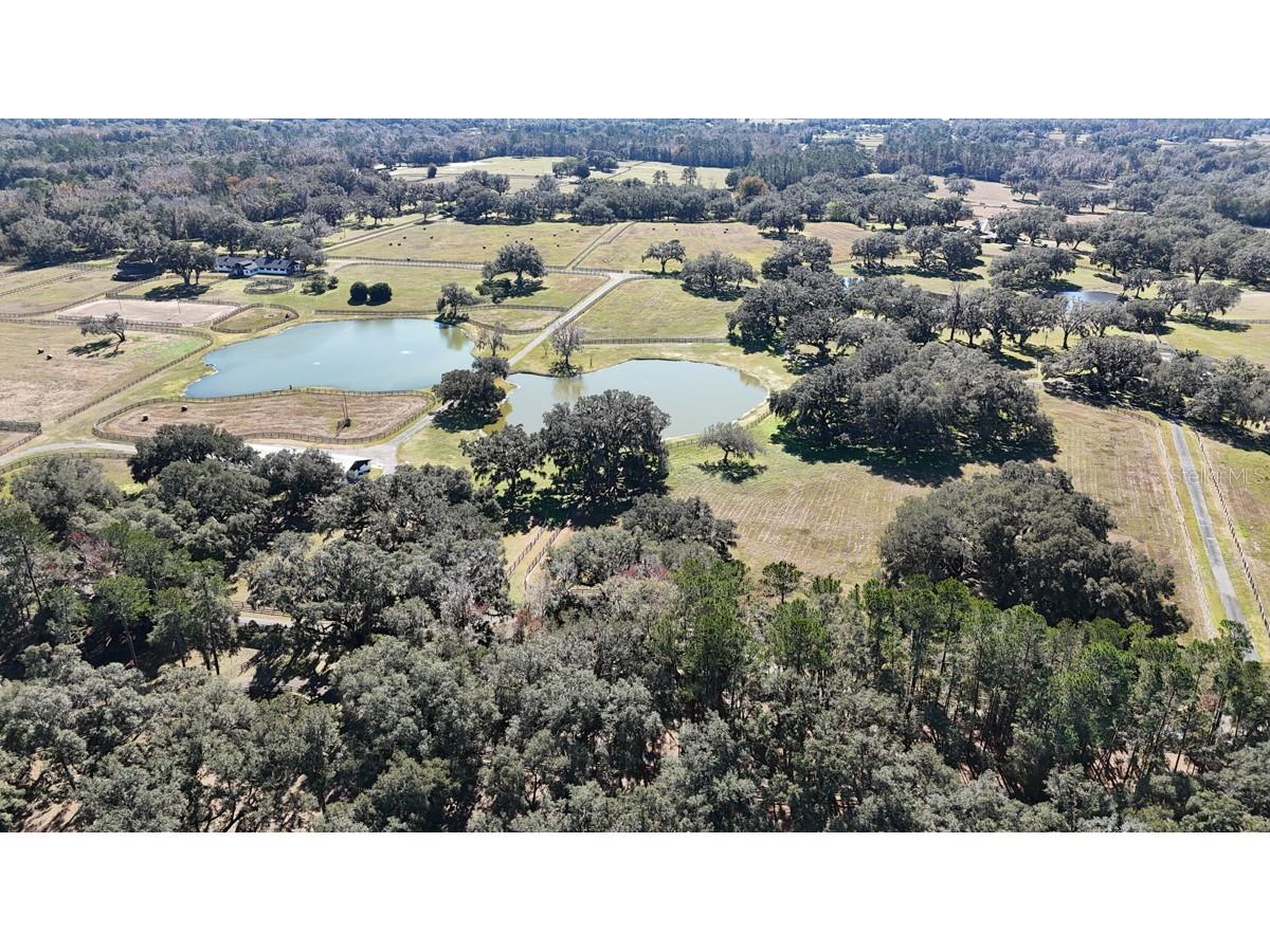 12853 NW 90th Avenue Reddick FL 32686 OM692861 image64