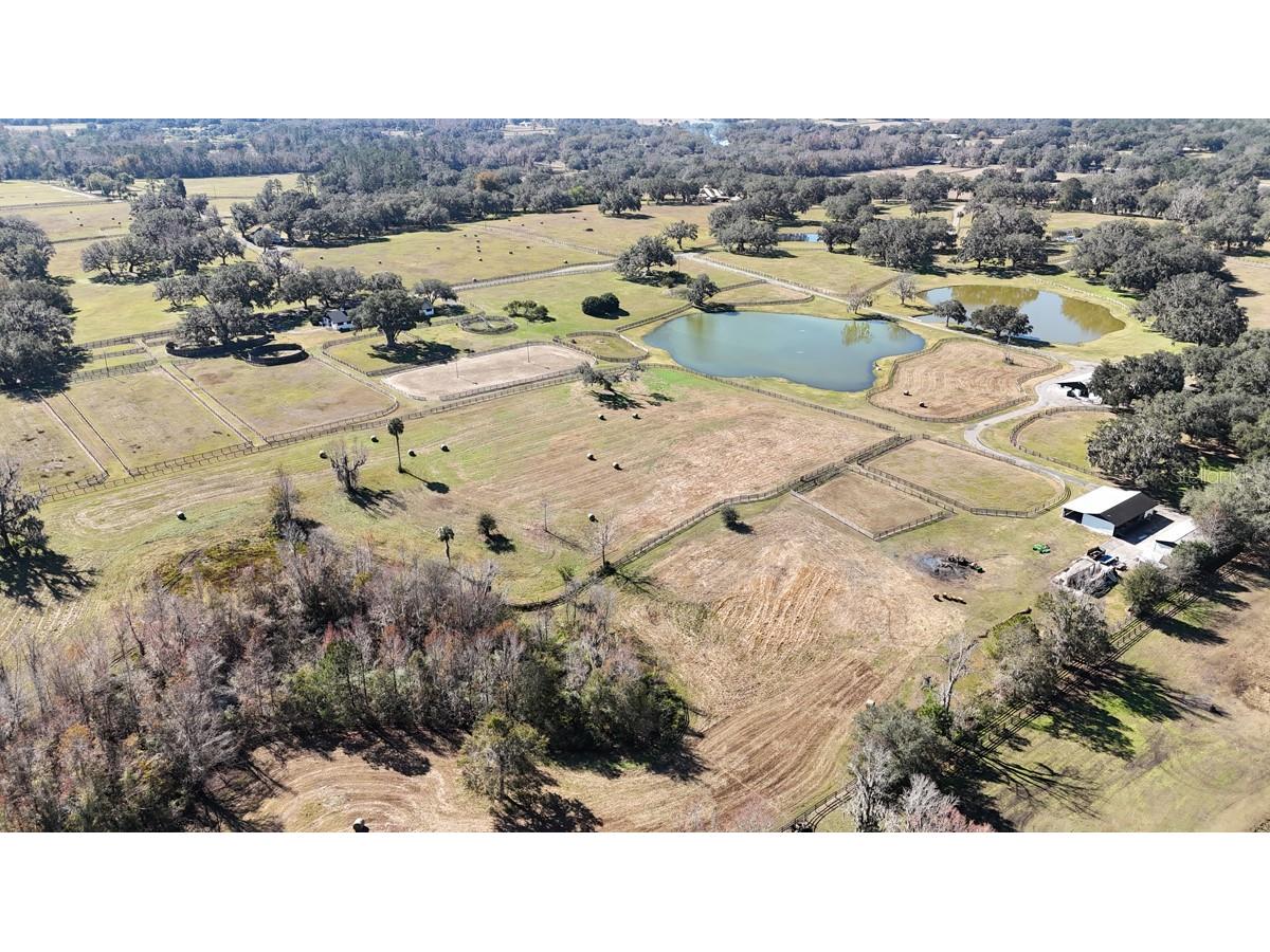 12853 NW 90th Avenue Reddick FL 32686 OM692861 image66